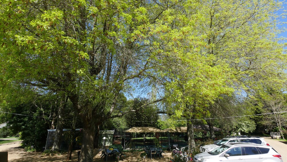 Adina Lodge Holiday Units