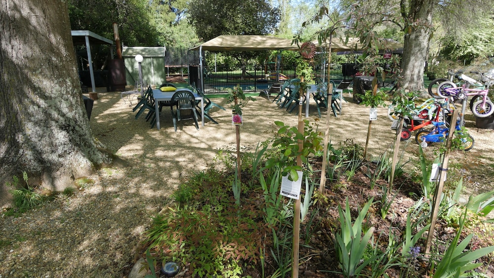 Adina Lodge Holiday Units
