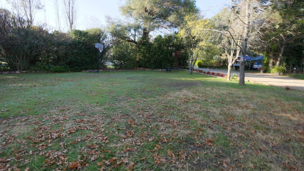 Adina Lodge Holiday Units