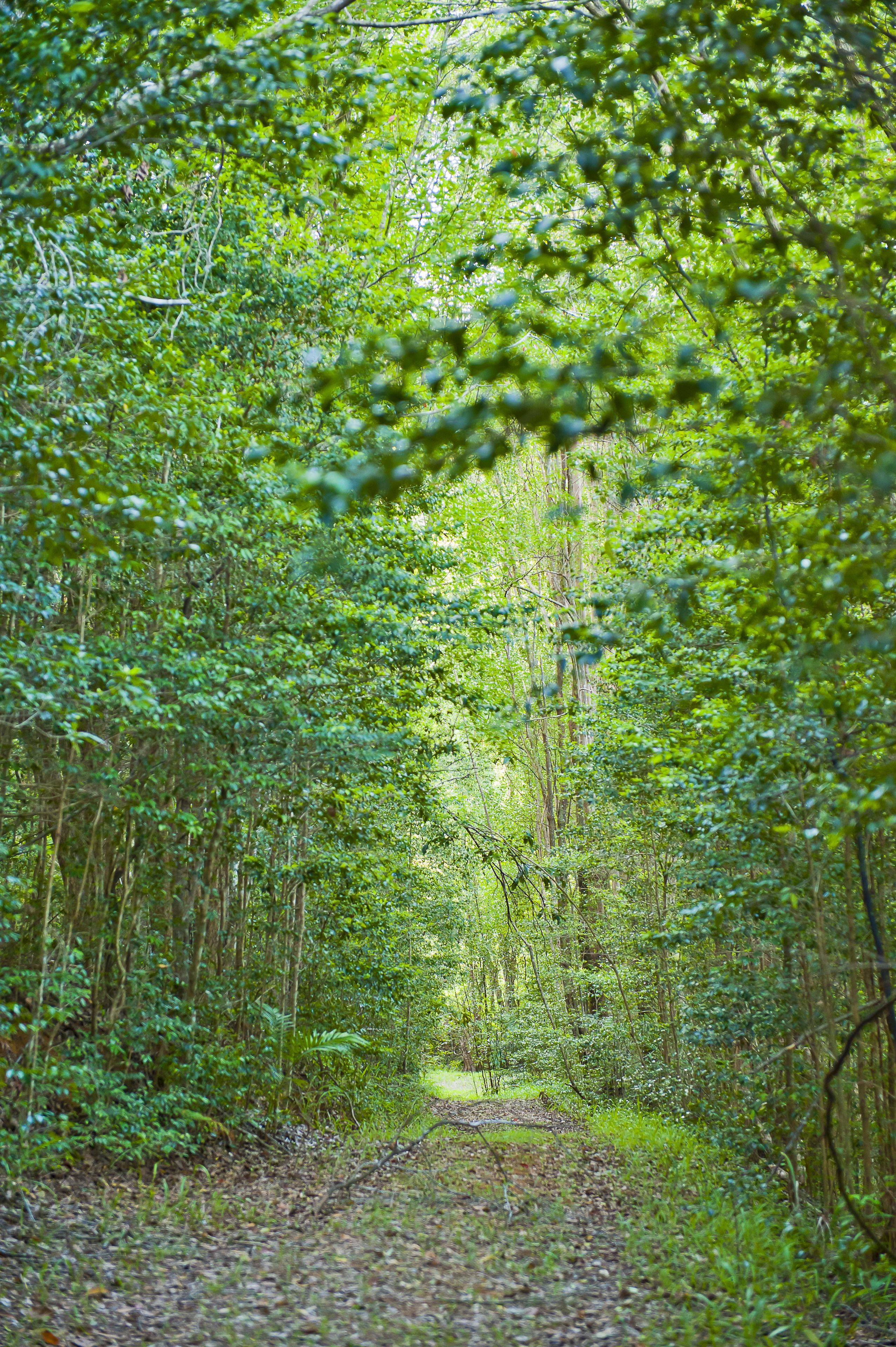 Crabbes Creek Cottages