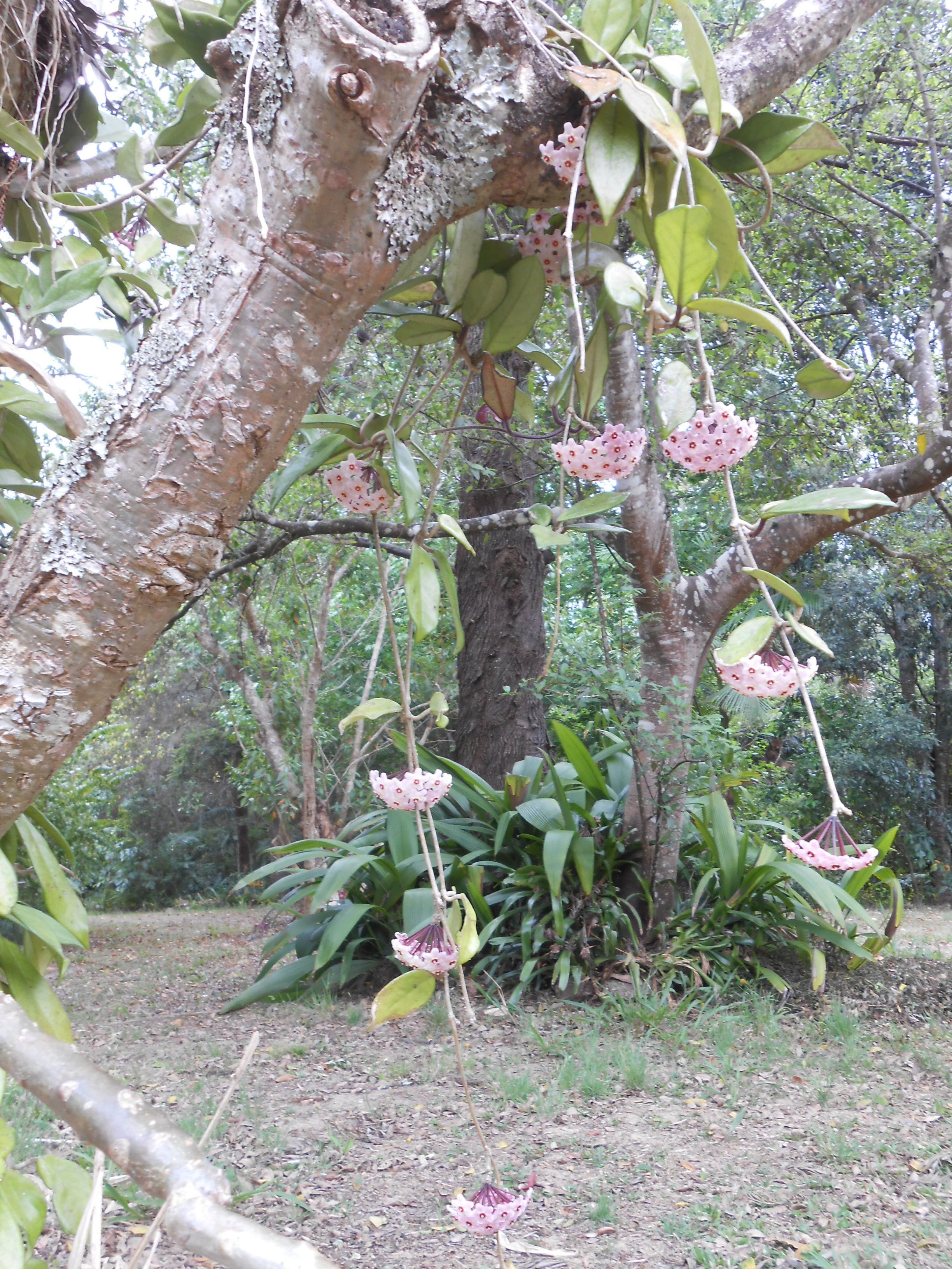 Crabbes Creek Cottages