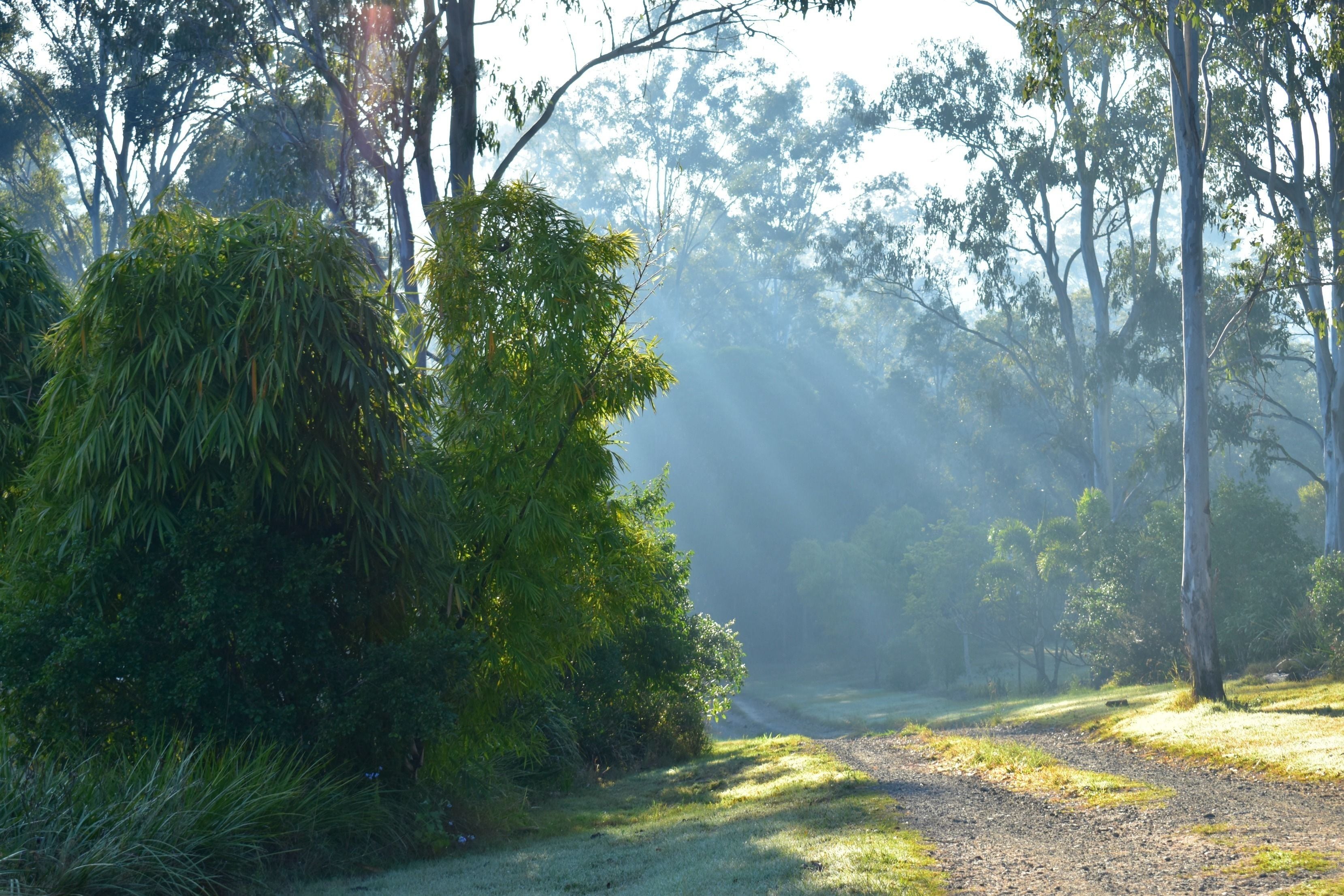 Melawondi Spring Retreat