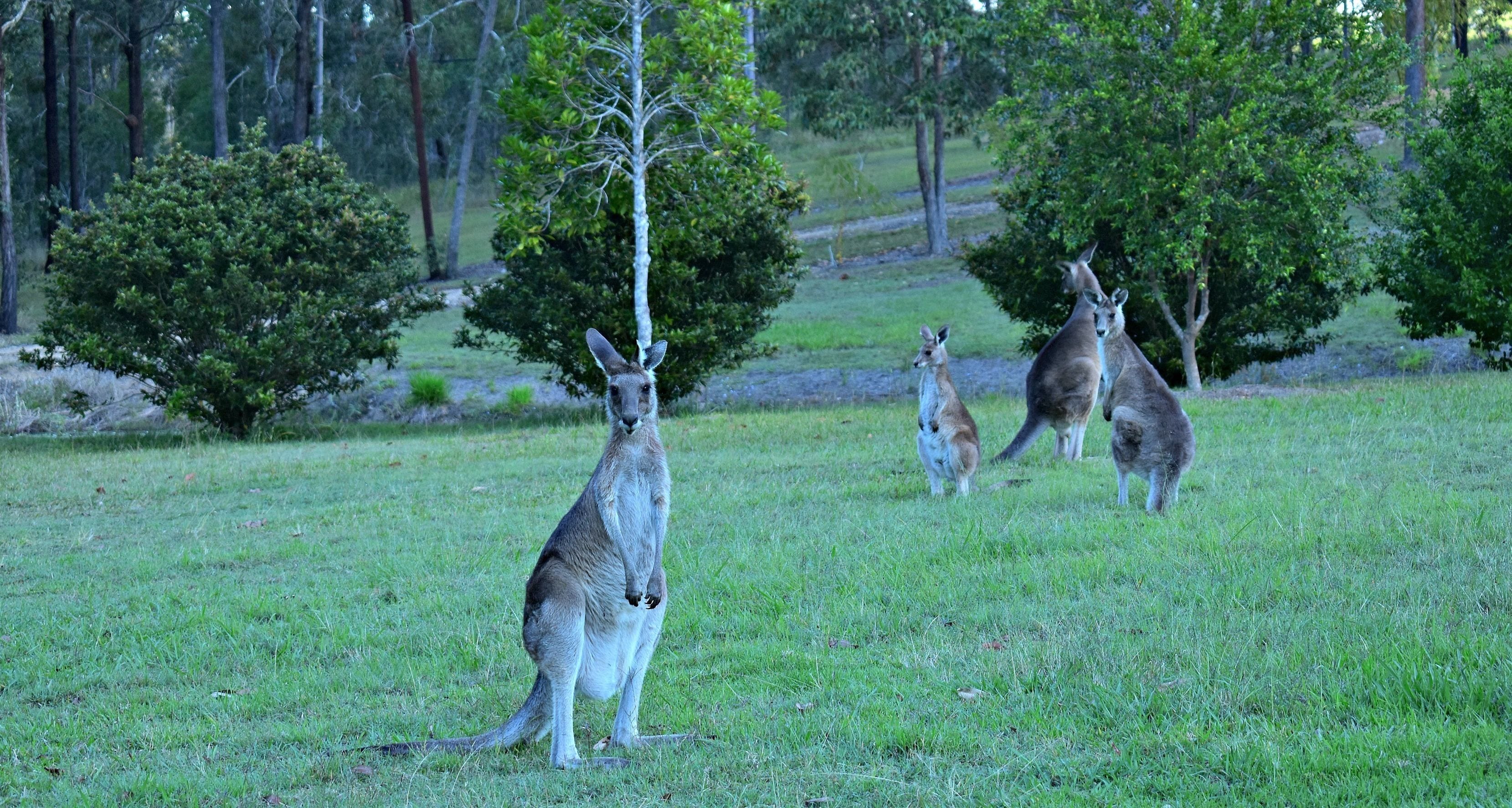 Melawondi Spring Retreat