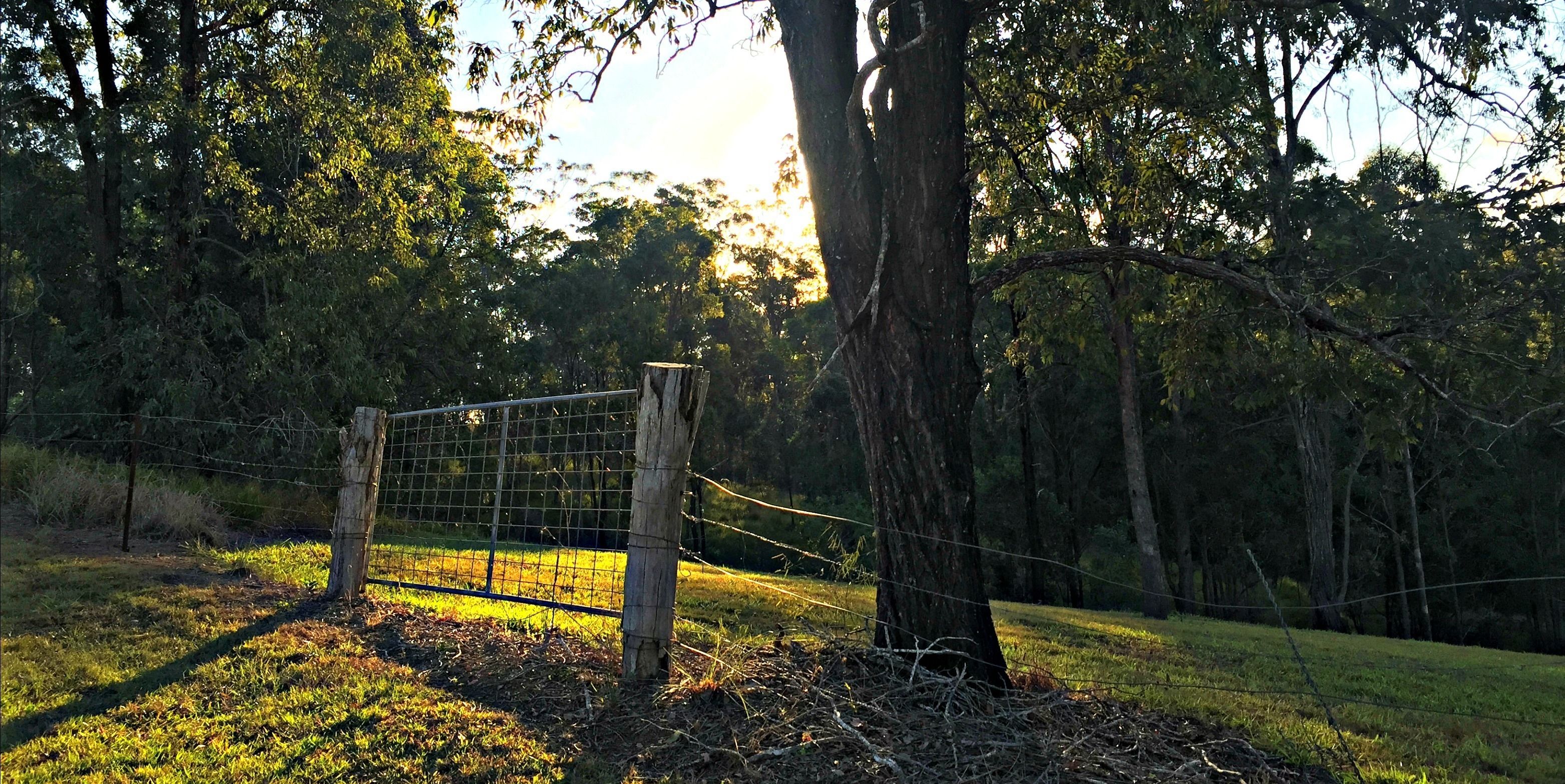 Melawondi Spring Retreat