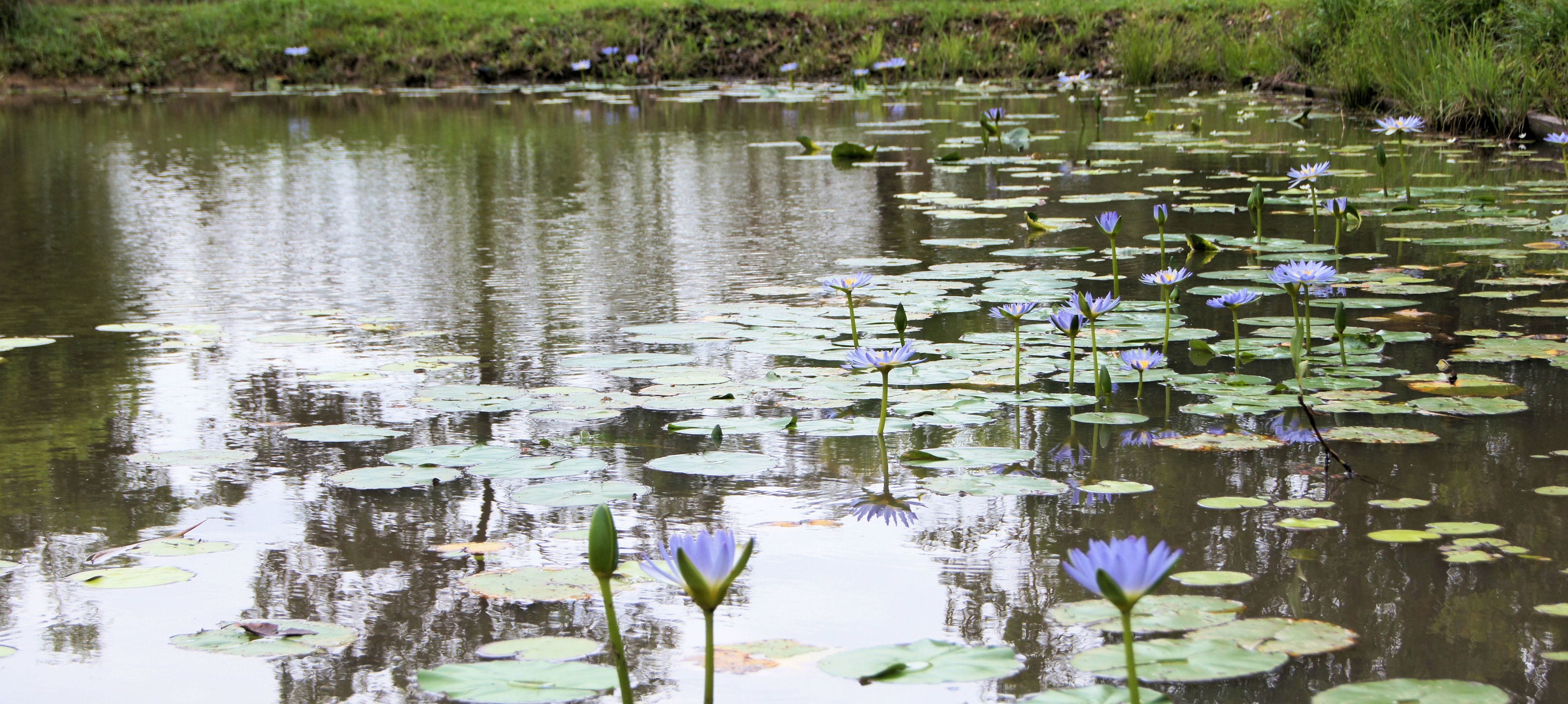 Melawondi Spring Retreat