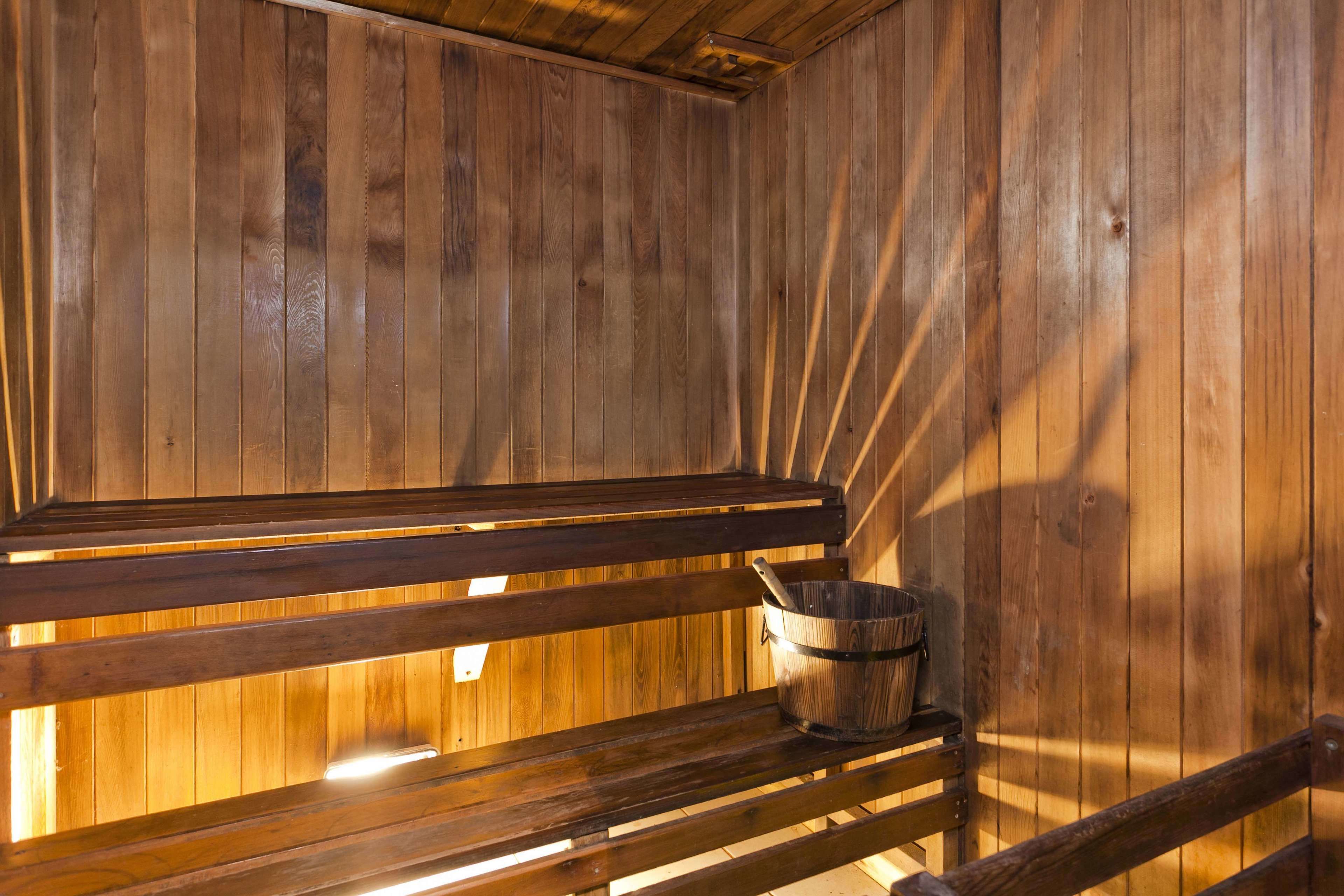 The Mouses House Rainforest Retreat