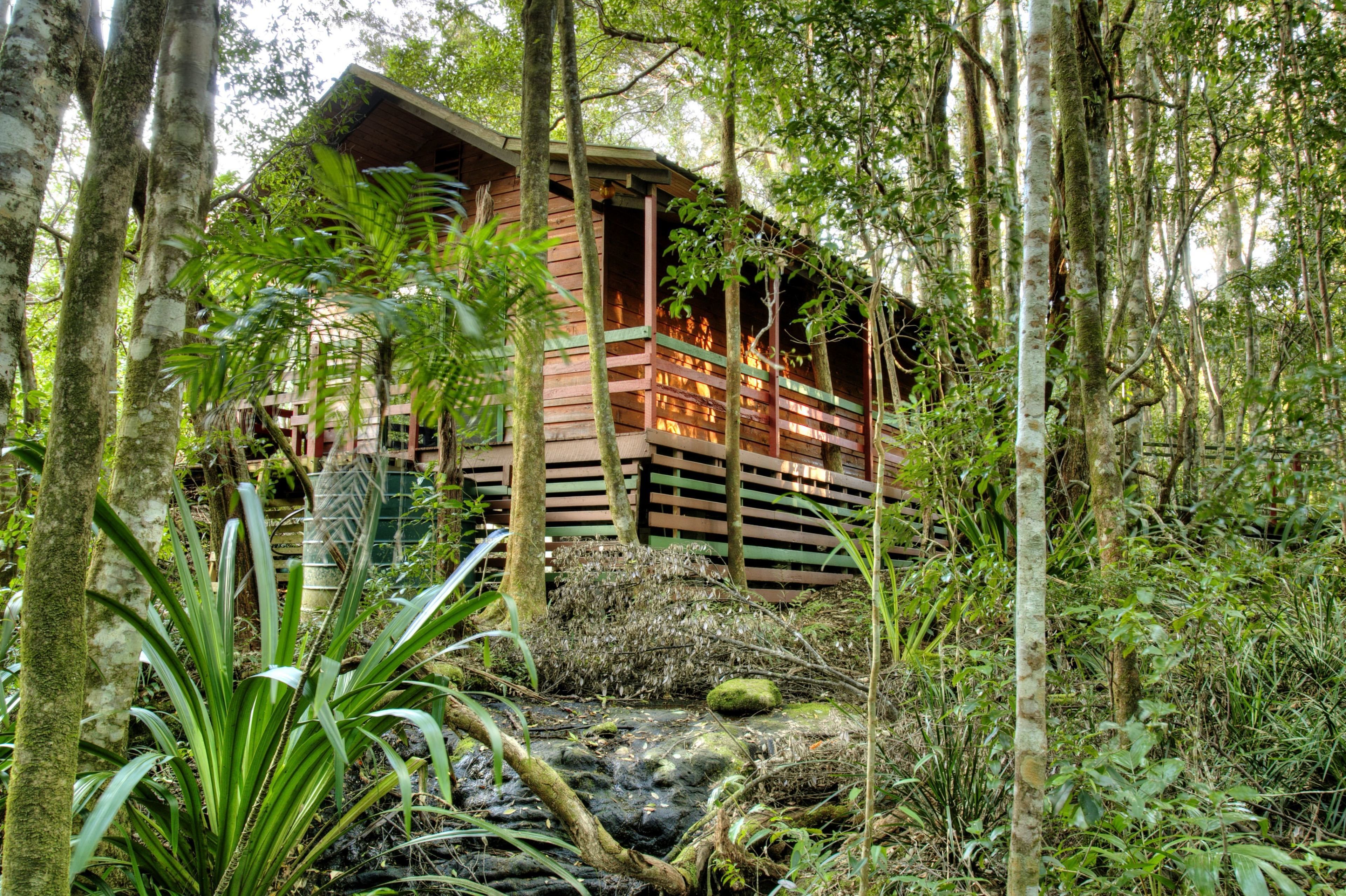 The Mouses House Rainforest Retreat