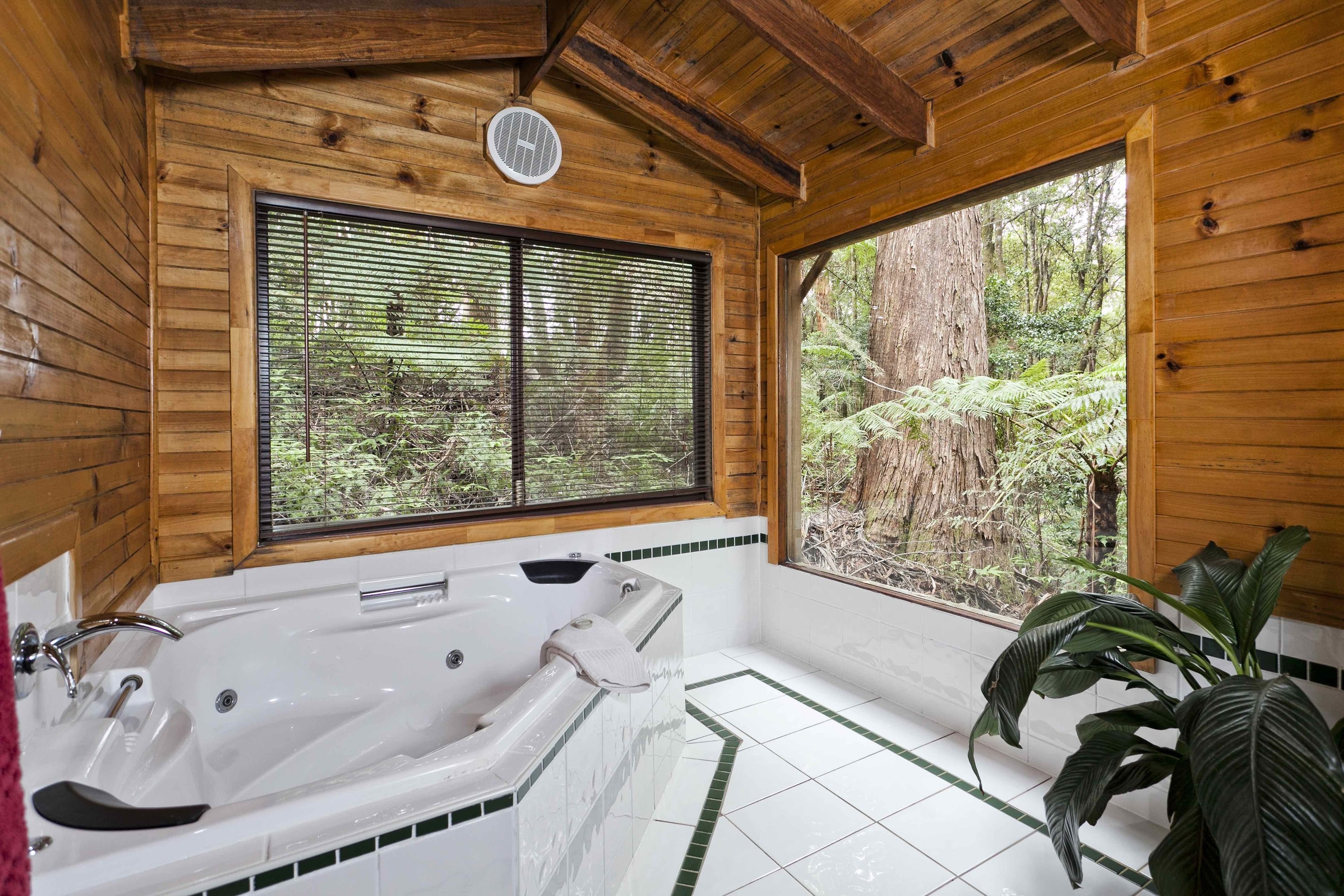 The Mouses House Rainforest Retreat