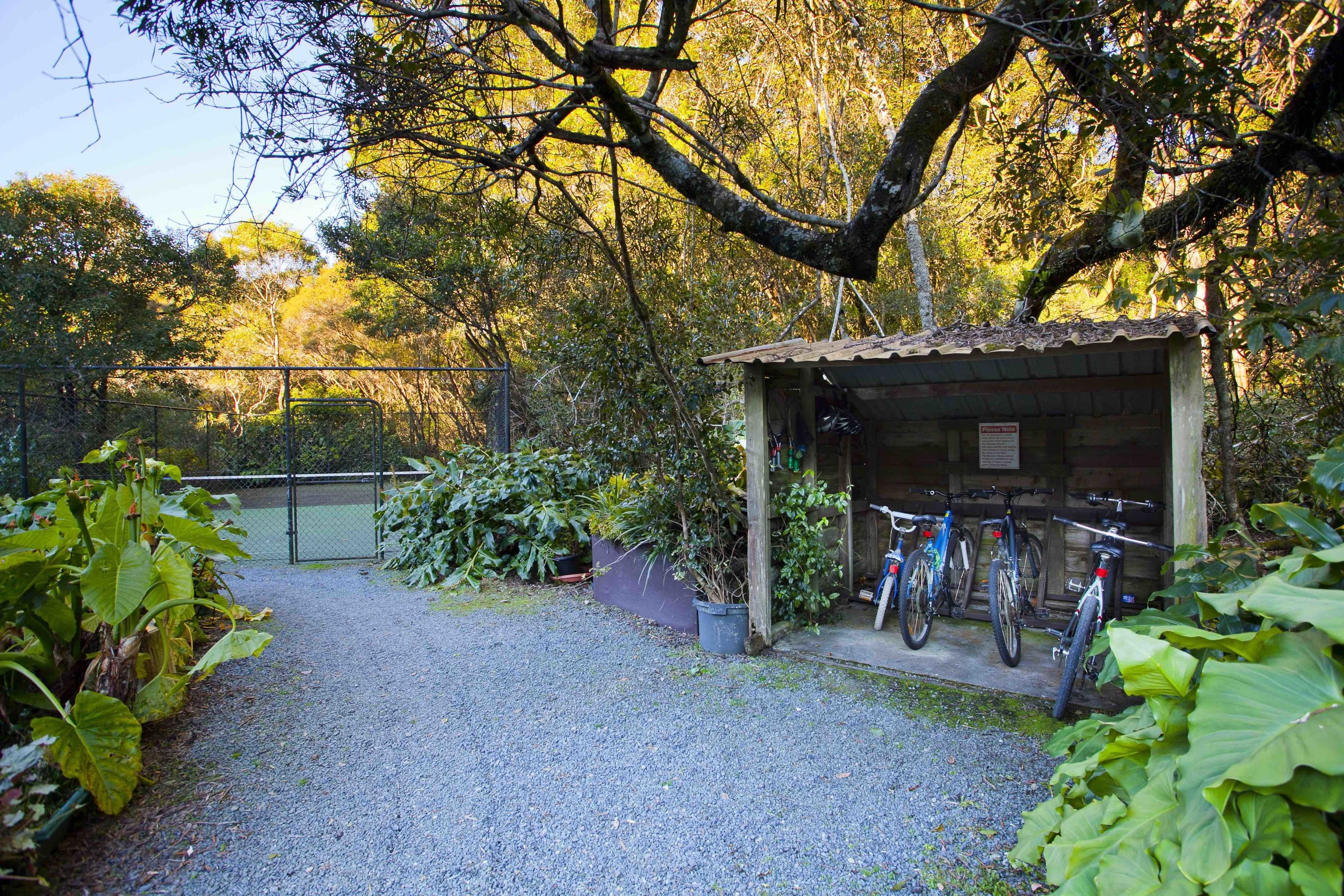 The Mouses House Rainforest Retreat