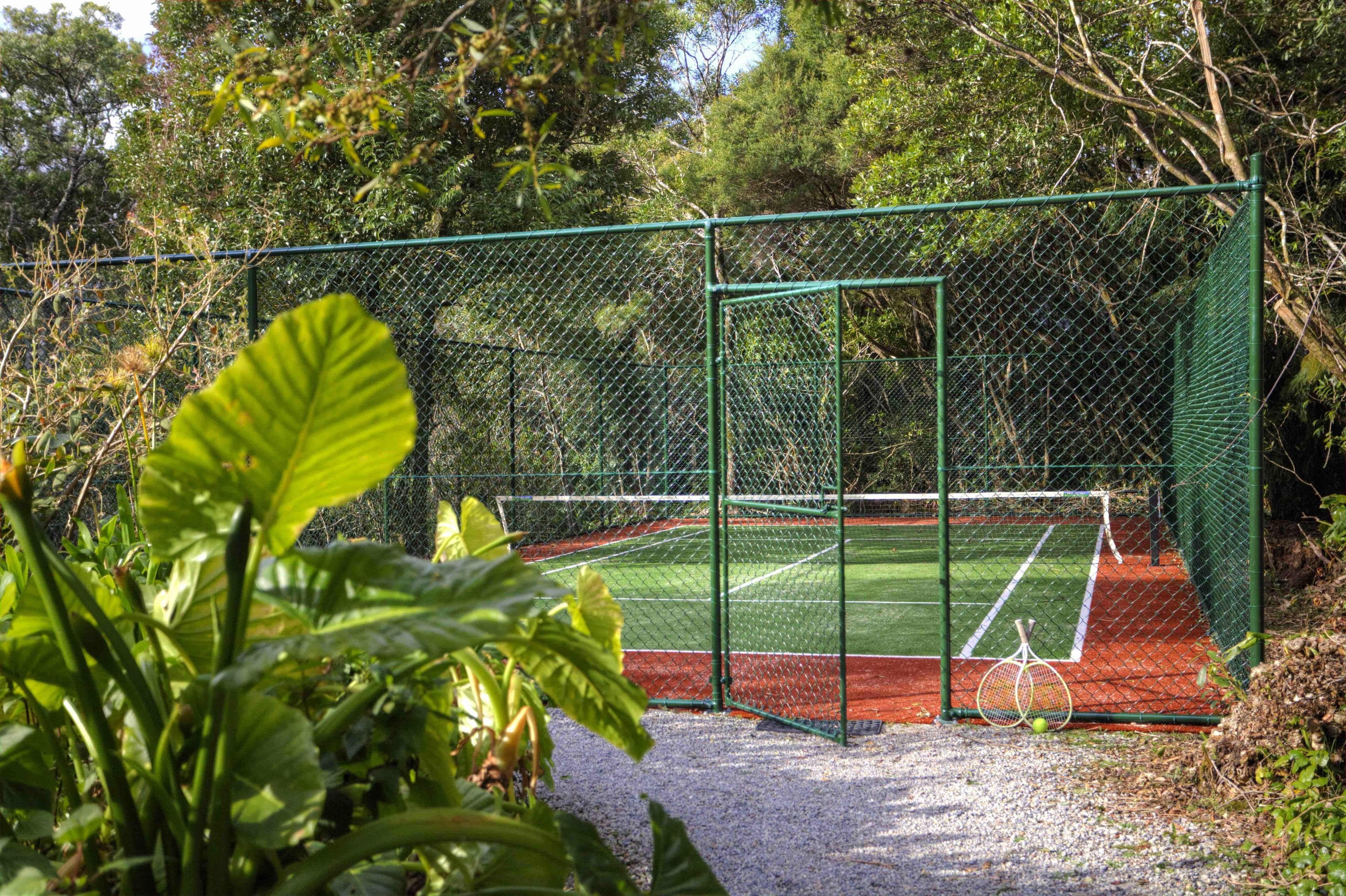 The Mouses House Rainforest Retreat