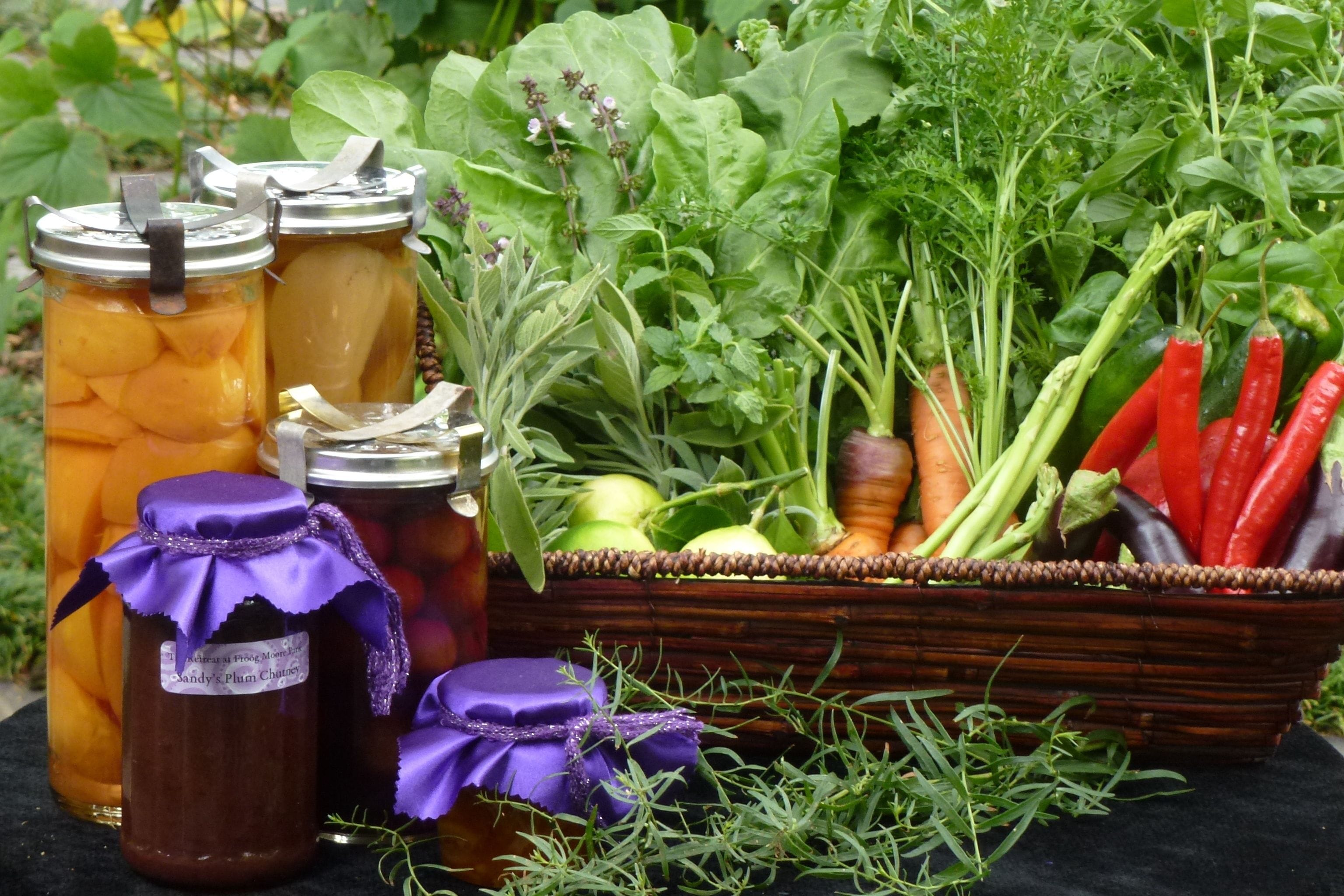 The Retreat at Froog-Moore Park