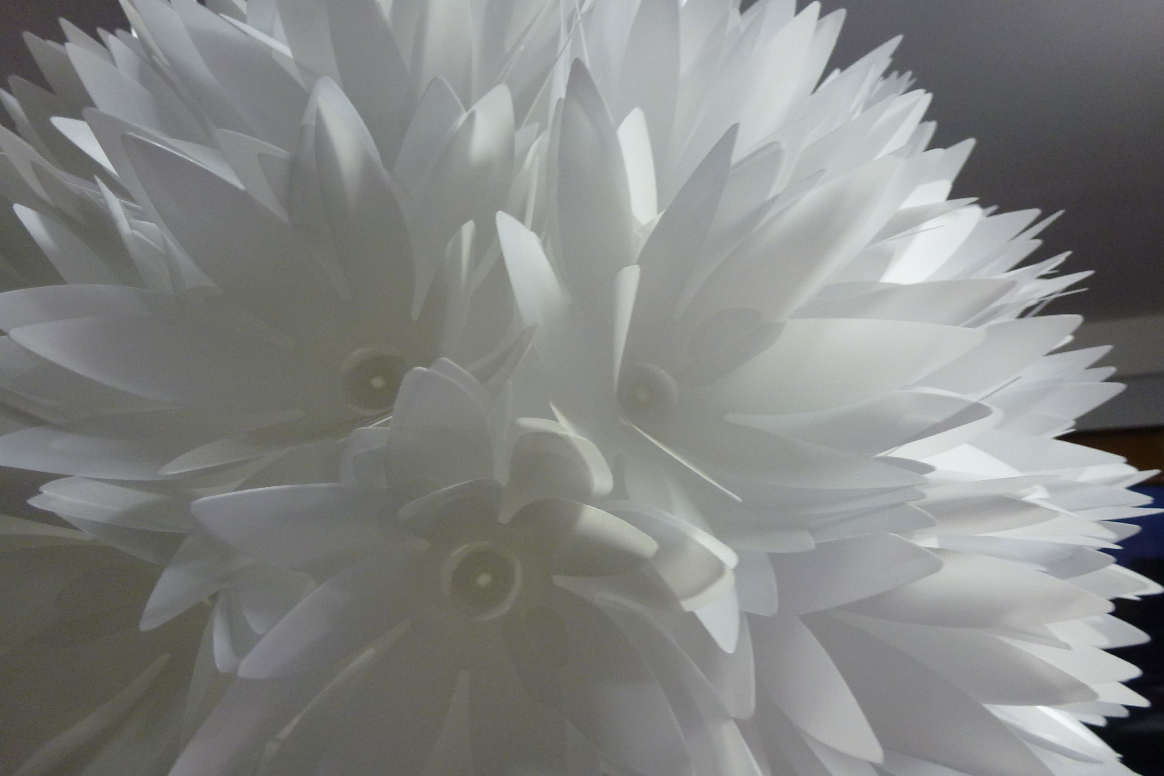 The Retreat at Froog-Moore Park