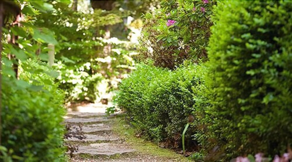 Woolrich Historic Garden Cottage