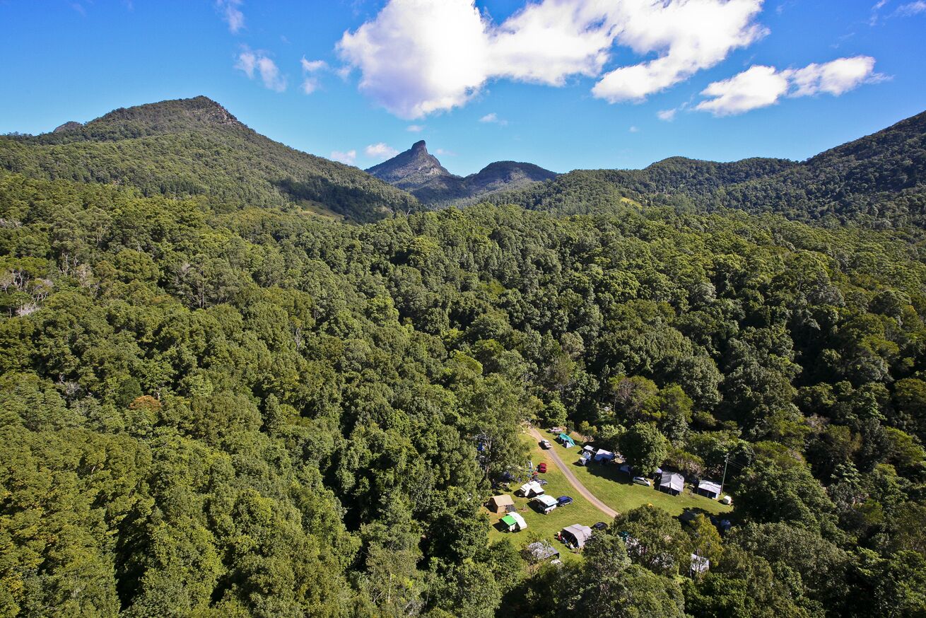 Mt Warning Rainforest Park