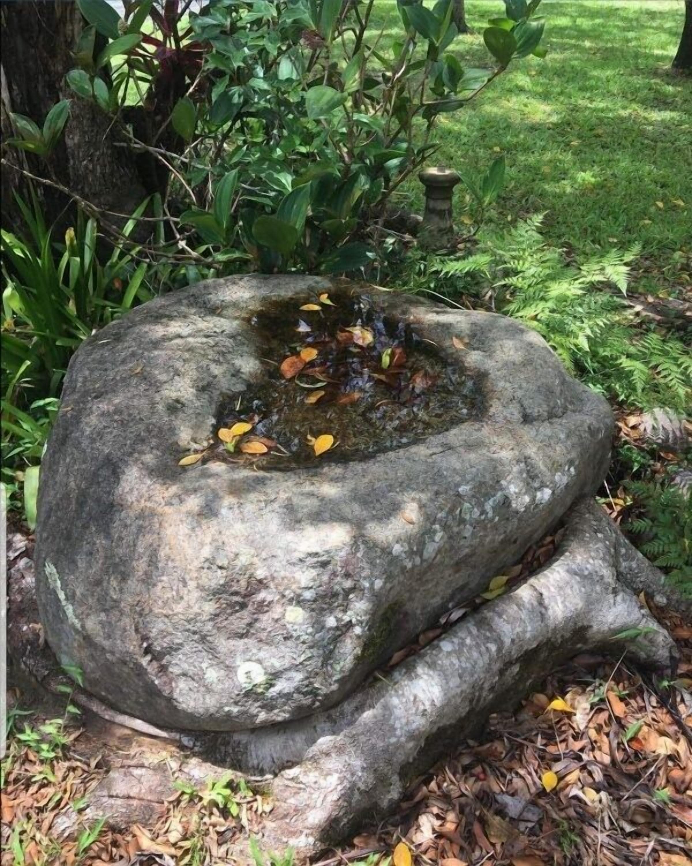 Mt Warning Rainforest Park