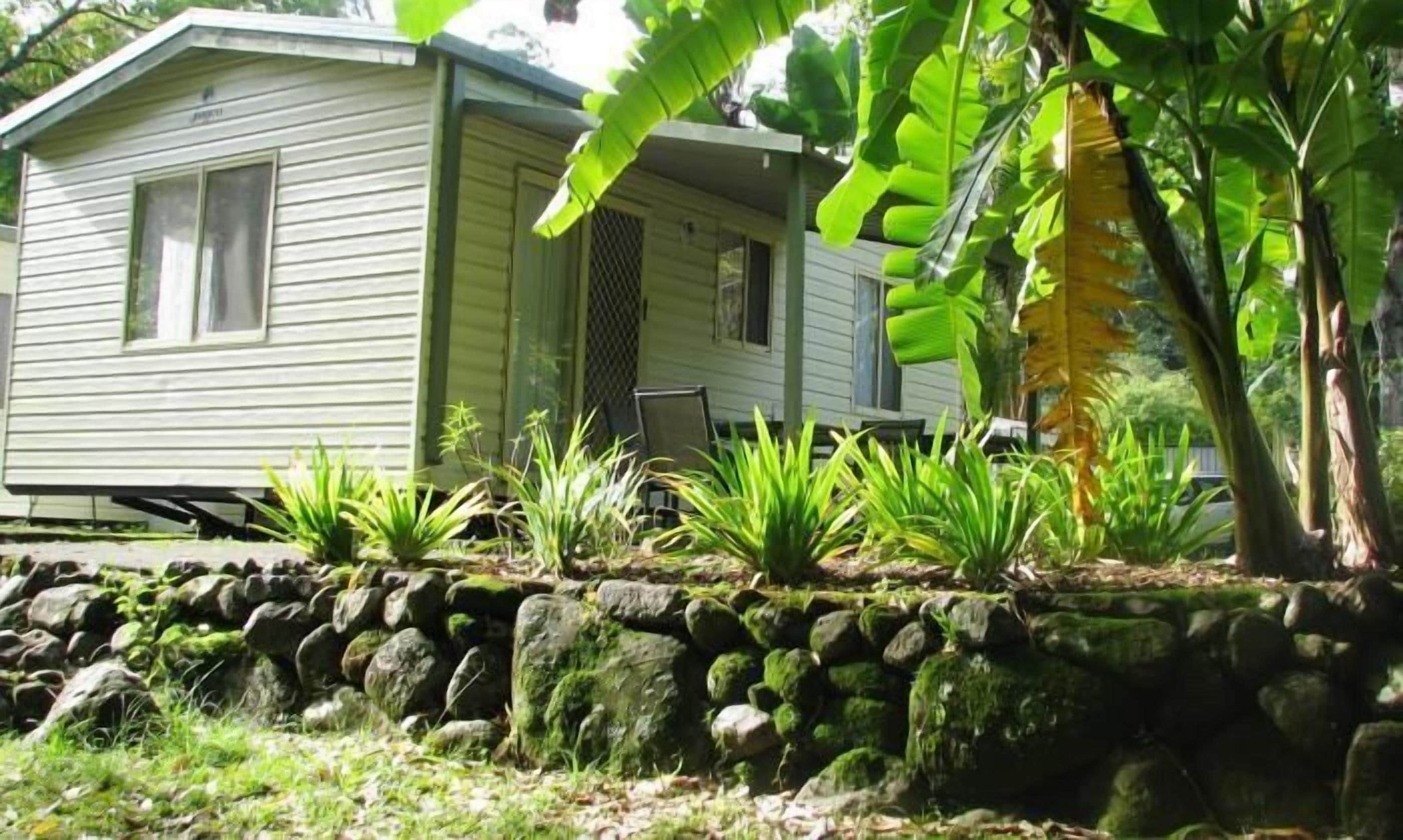 Mt Warning Rainforest Park