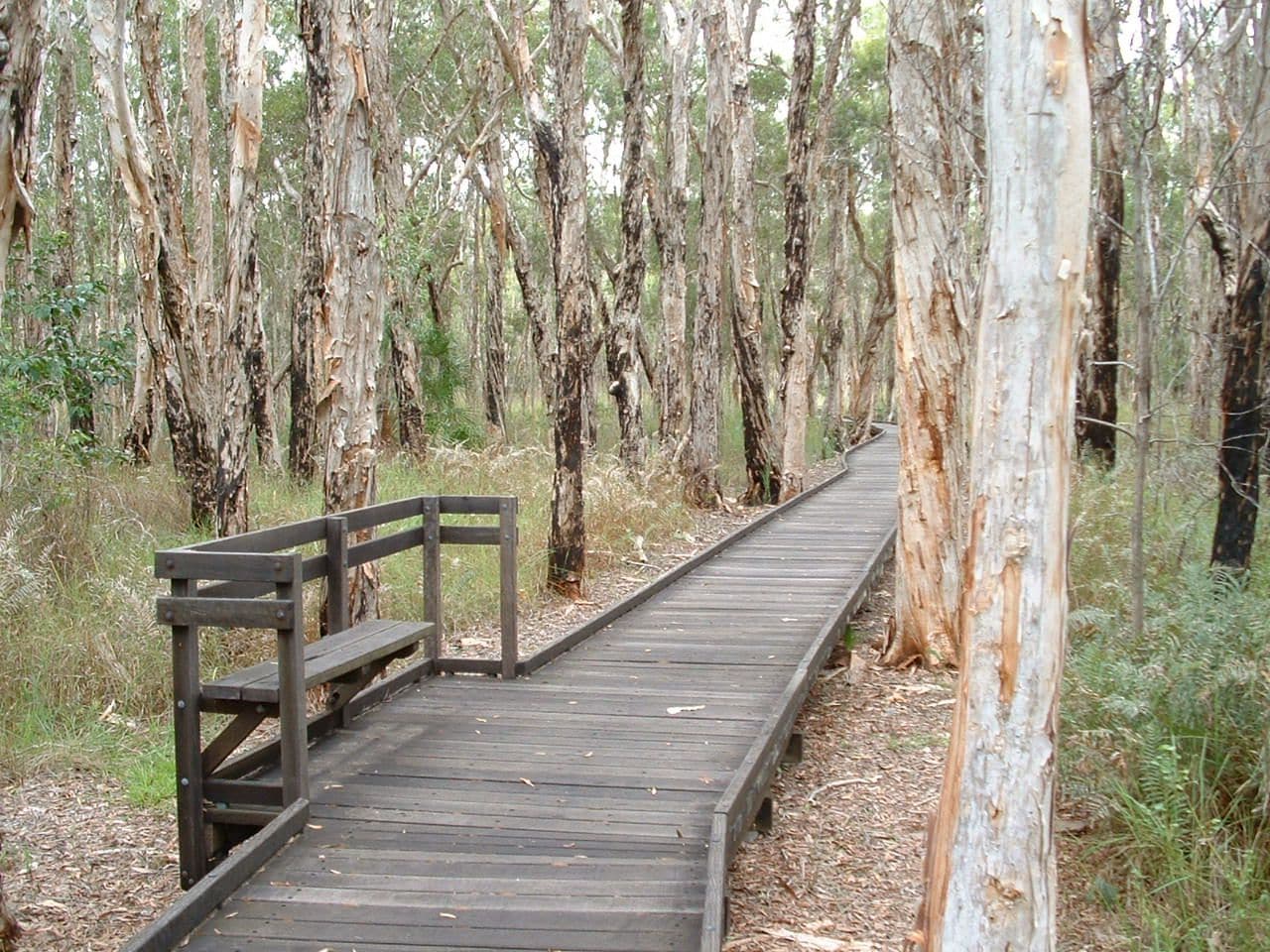 NRMA Woodgate Beach Holiday Park