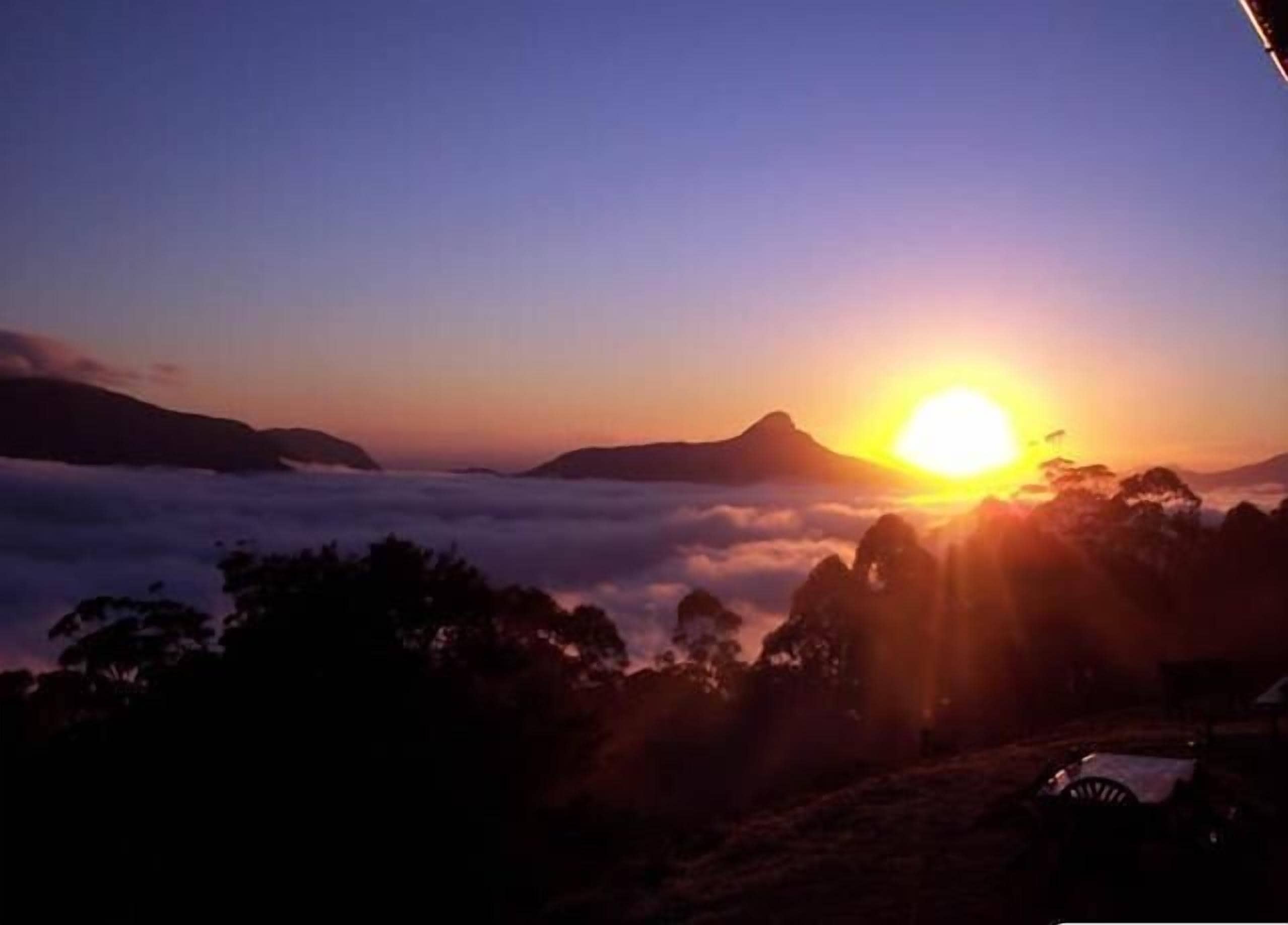 Spring Creek Mountain Cafe & Cottages