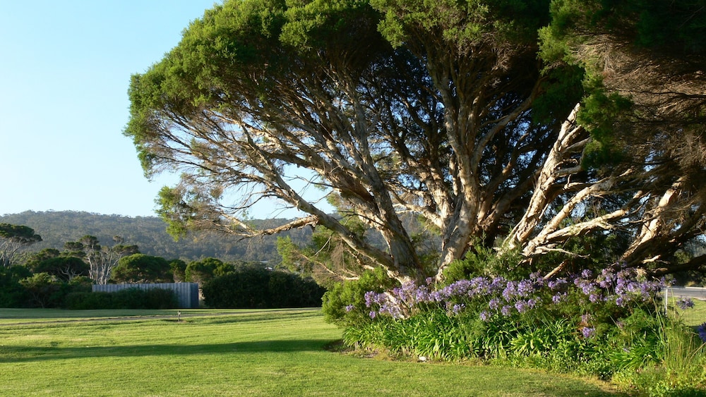 View from property, Spring Bay Villas