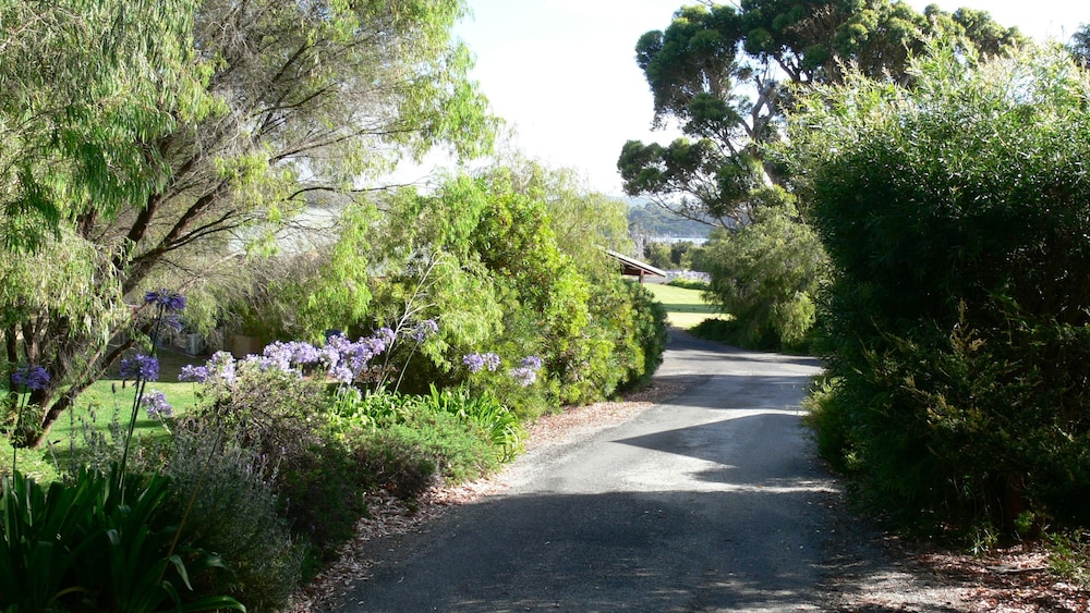 Property grounds, Spring Bay Villas