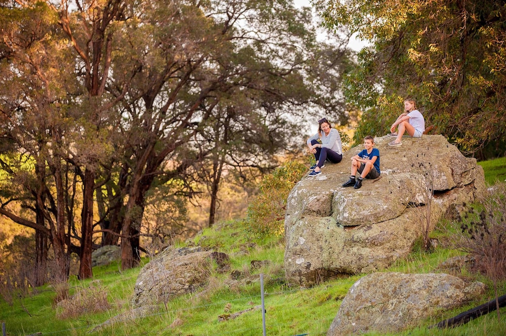 Hiking, Evedon Park Bush Retreat