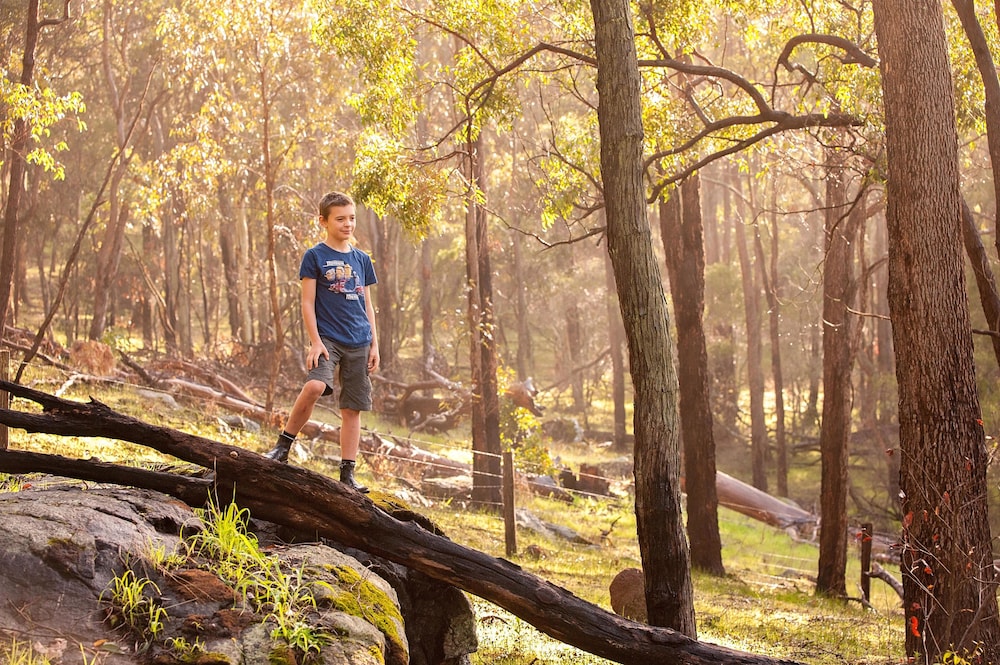 Property grounds, Evedon Park Bush Retreat