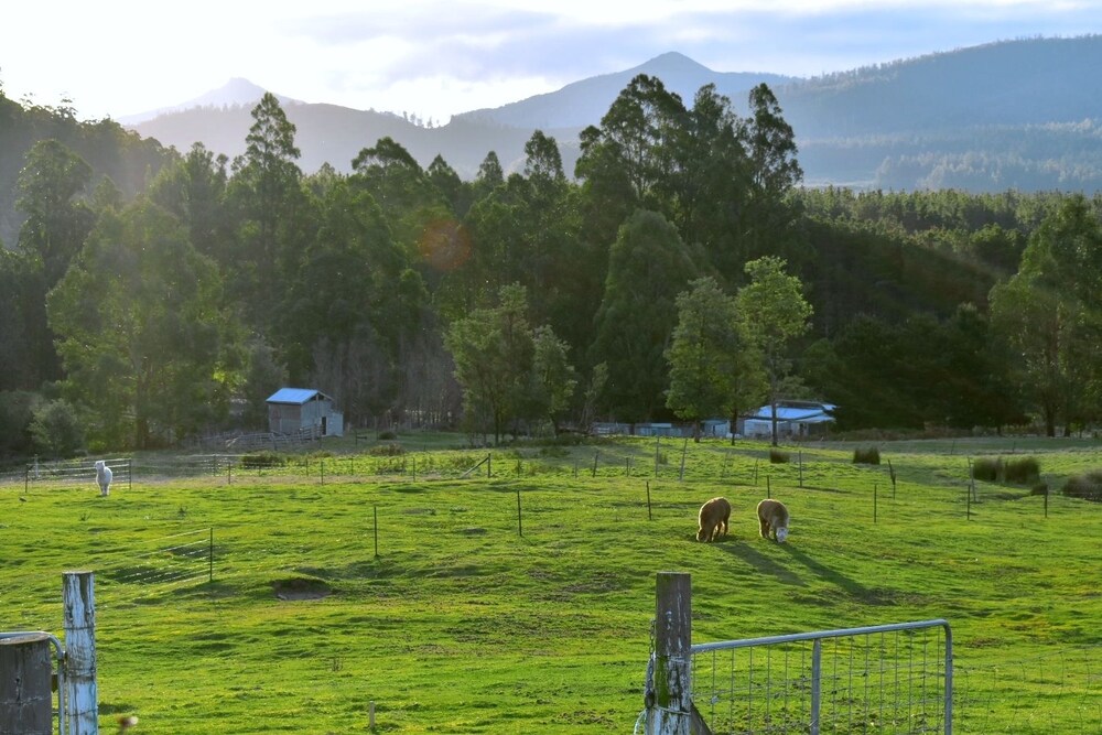 Maydena Mountain Cabins