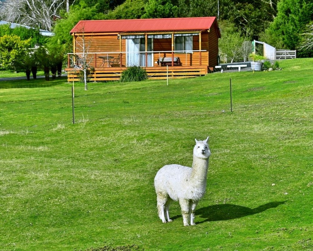 Maydena Mountain Cabins