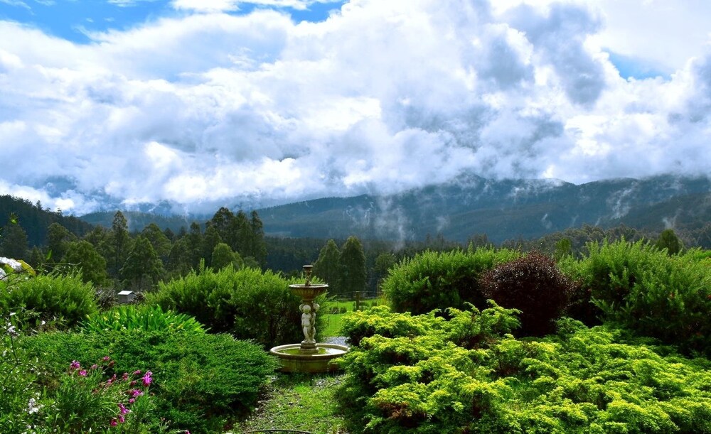 Maydena Mountain Cabins