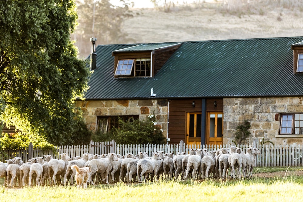 Daisy Bank Cottages Hobart Aus Best Price Guarantee Lastminute