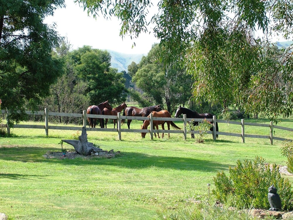 Halls on Falls Homestead