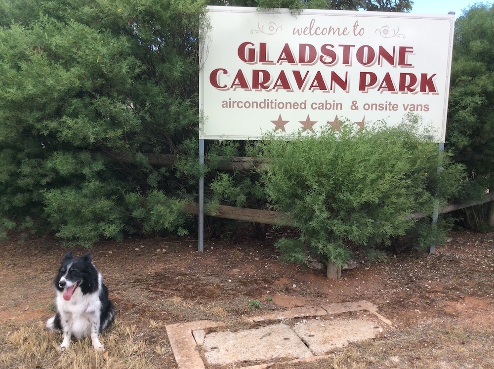 Gladstone Caravan Park South Australia Gladstone Aus Best