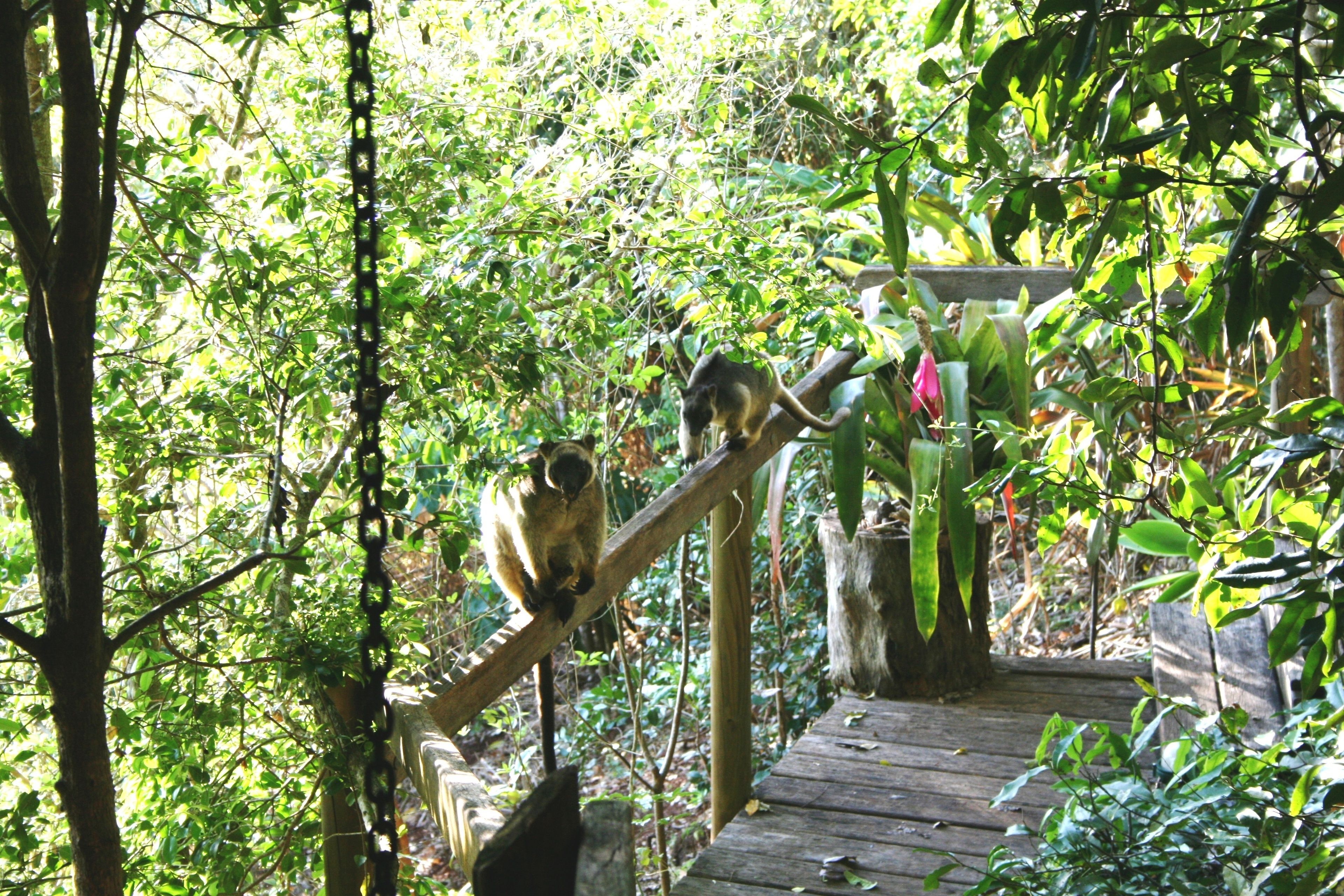 Mt Quincan Crater Retreat