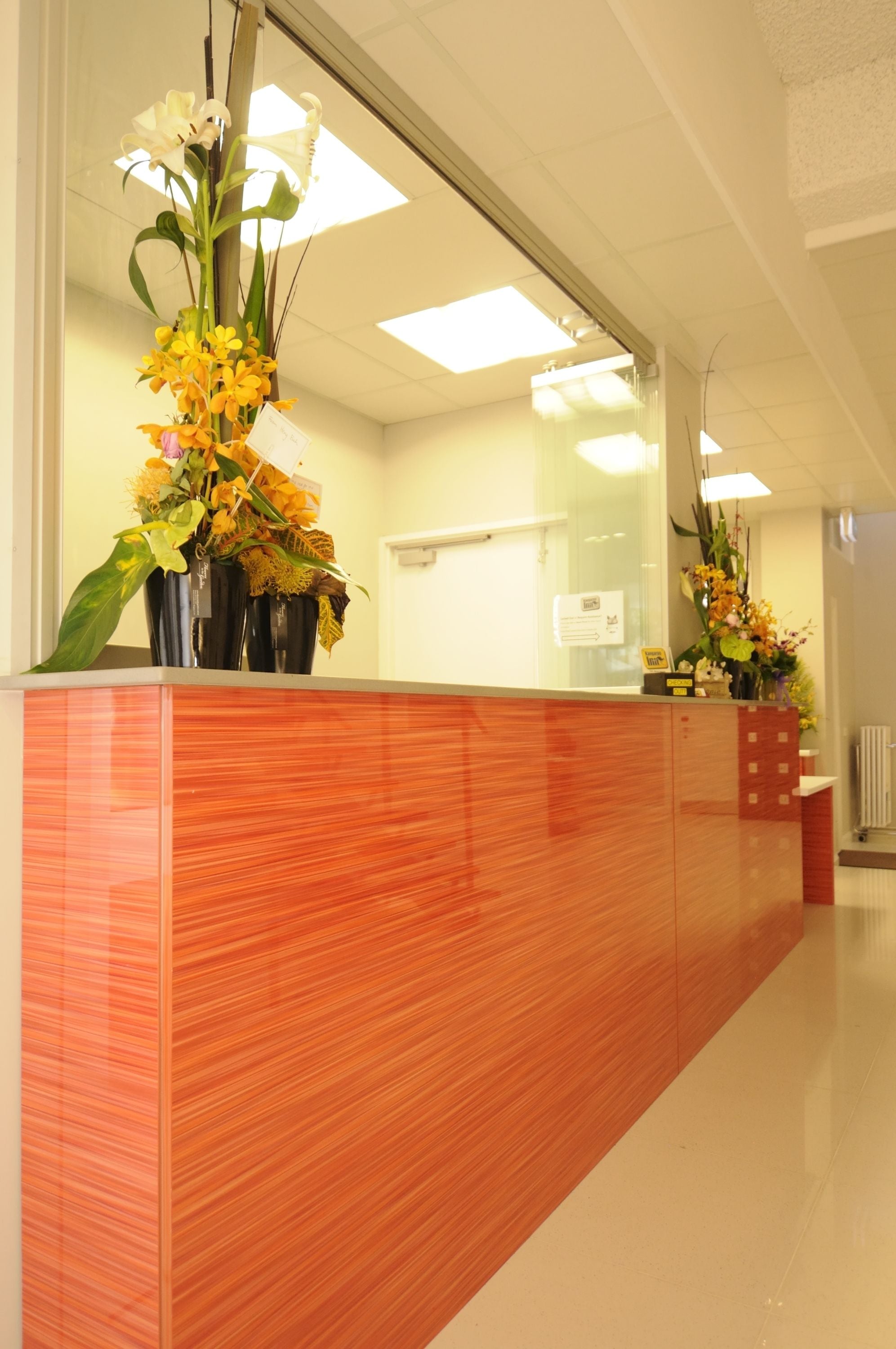 Kangaroo Inn - Hostel