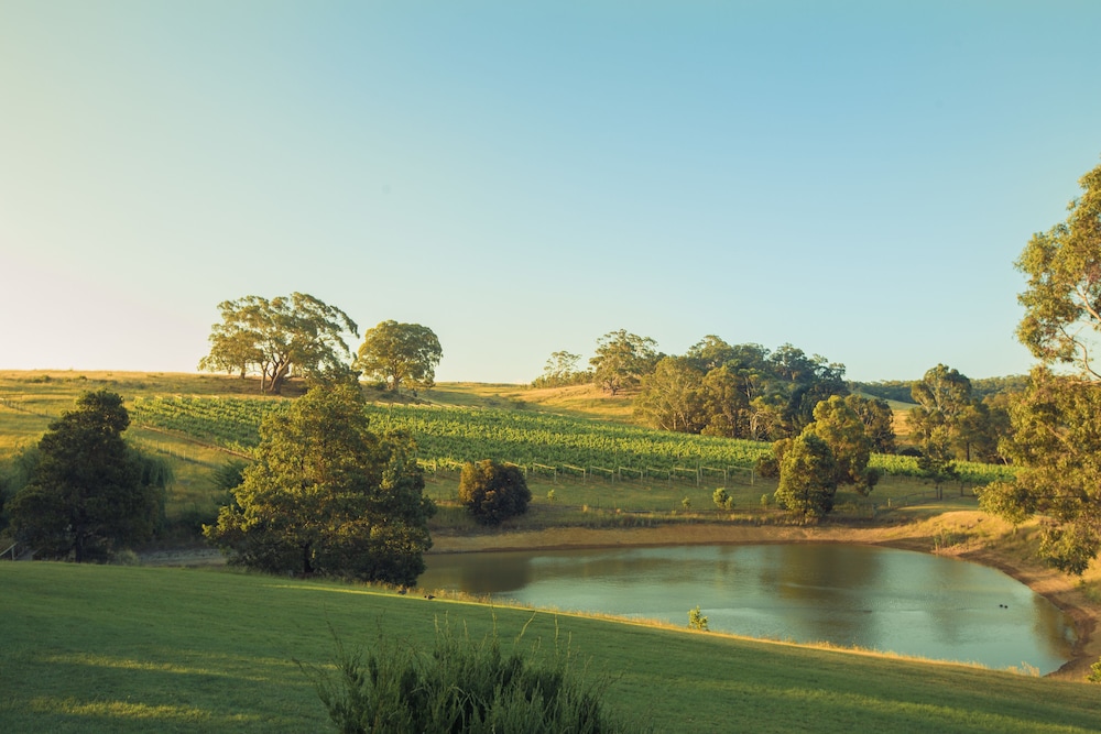 Lancemore Hill At Macedon Ranges