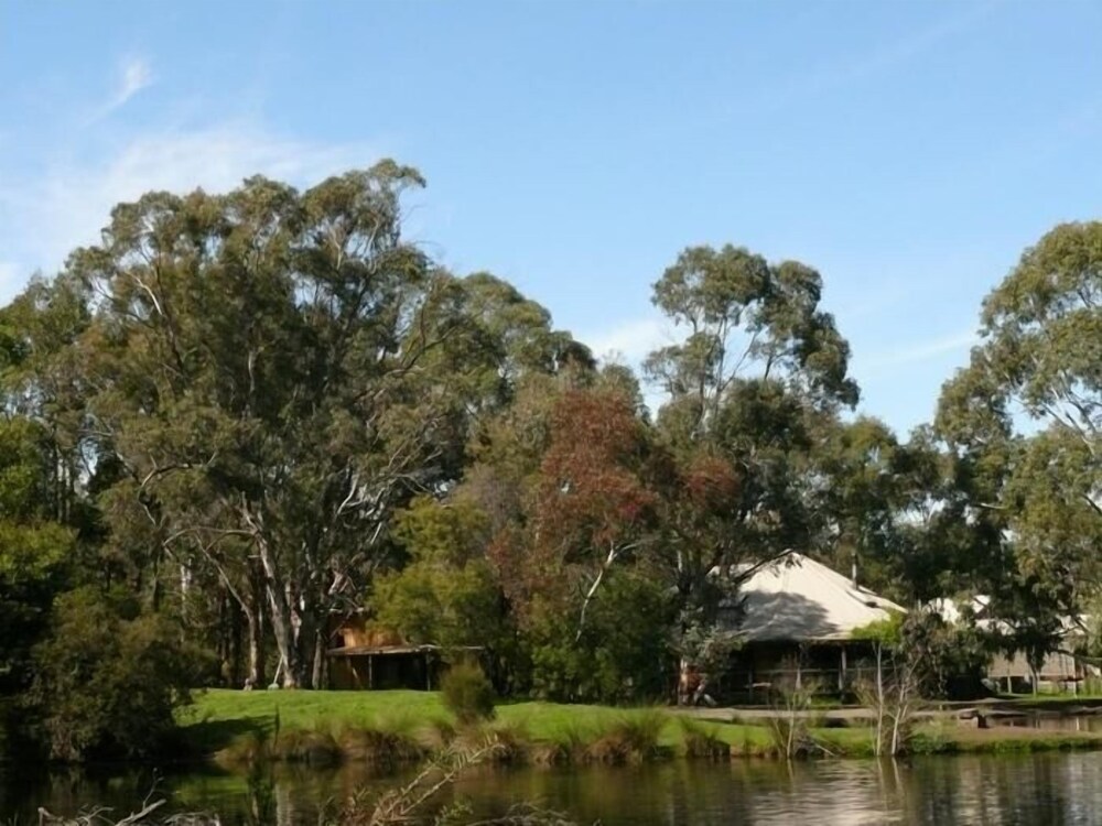 The Burrow At Wombat Bend