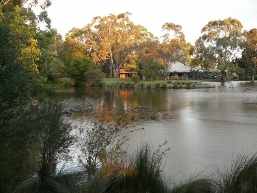 The Burrow At Wombat Bend