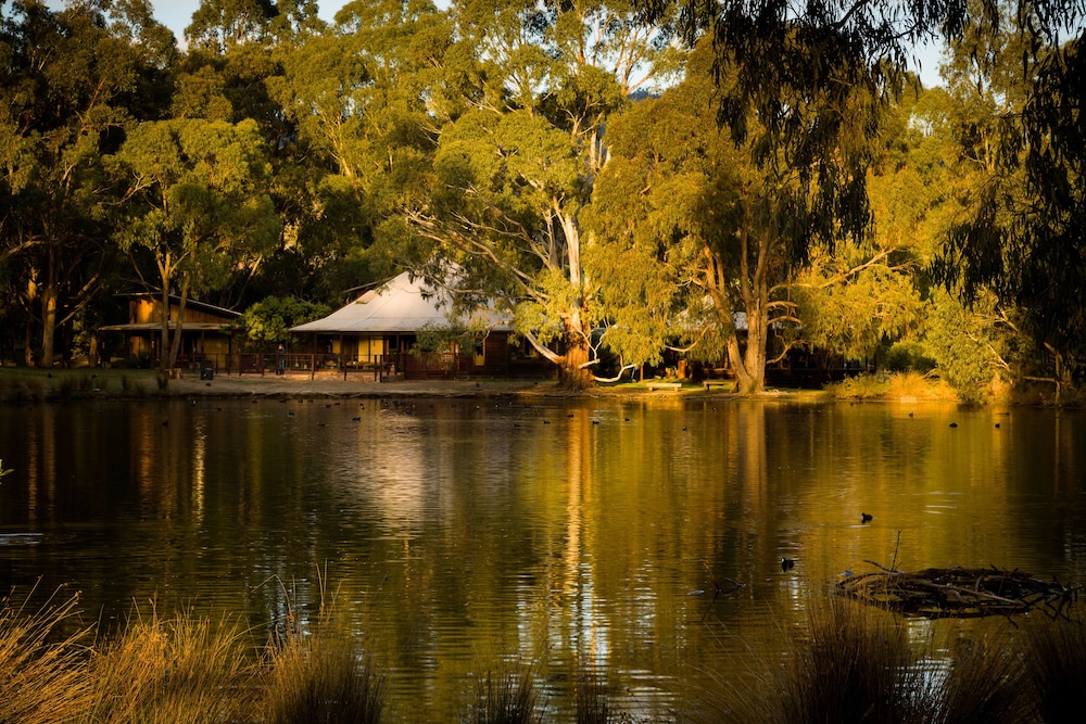 The Burrow At Wombat Bend