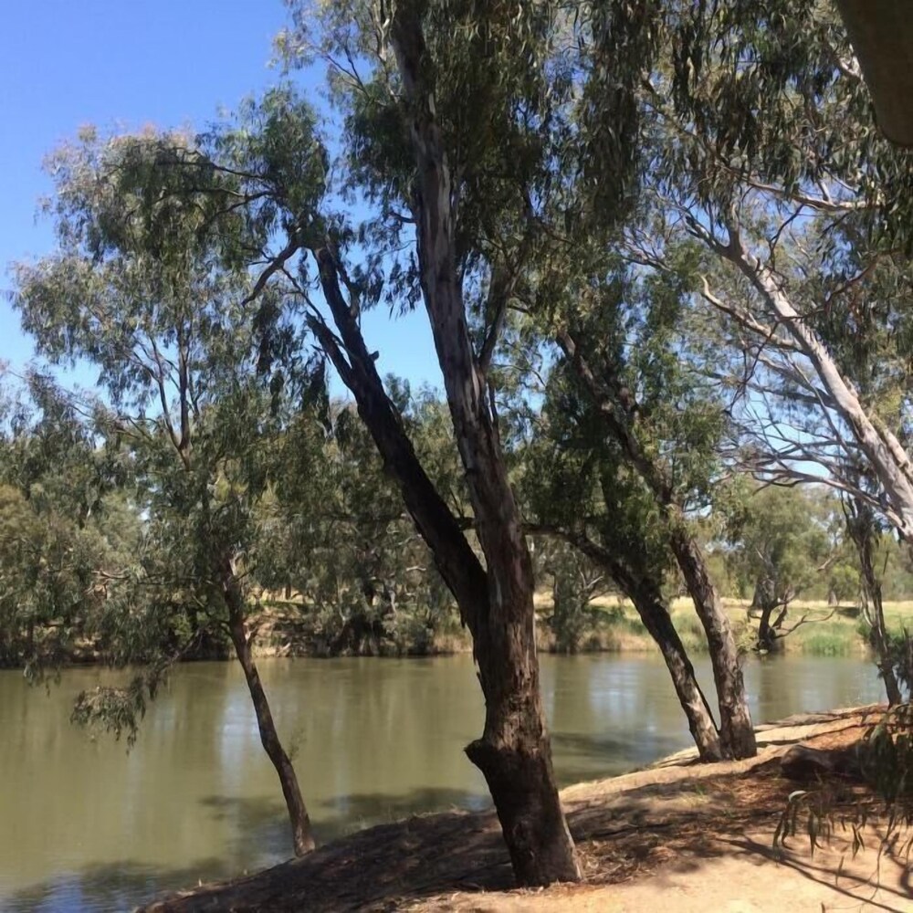 Wagga Wagga Beach Caravan Park