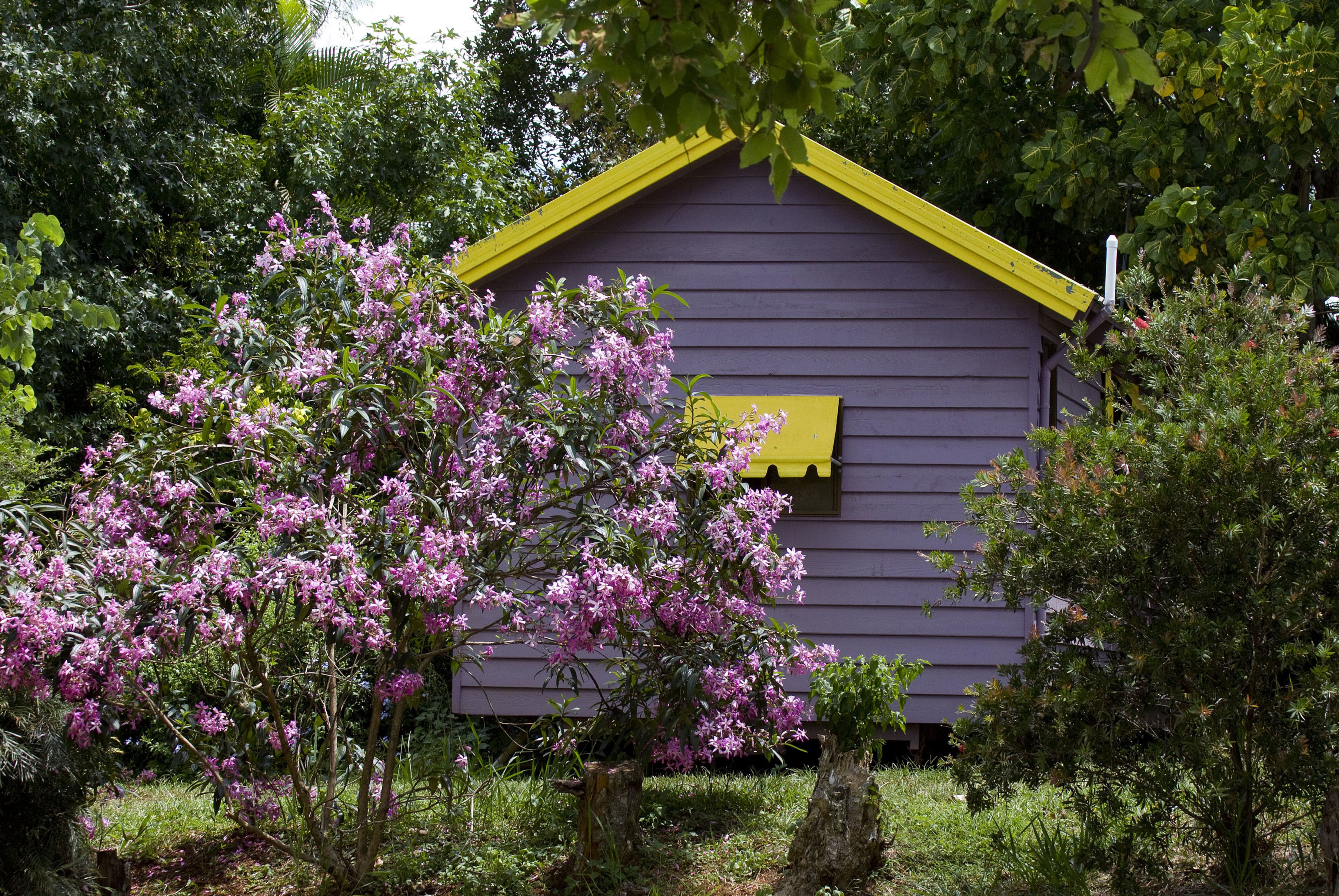 Lake Eacham Tourist Park & Self Contained Cabins