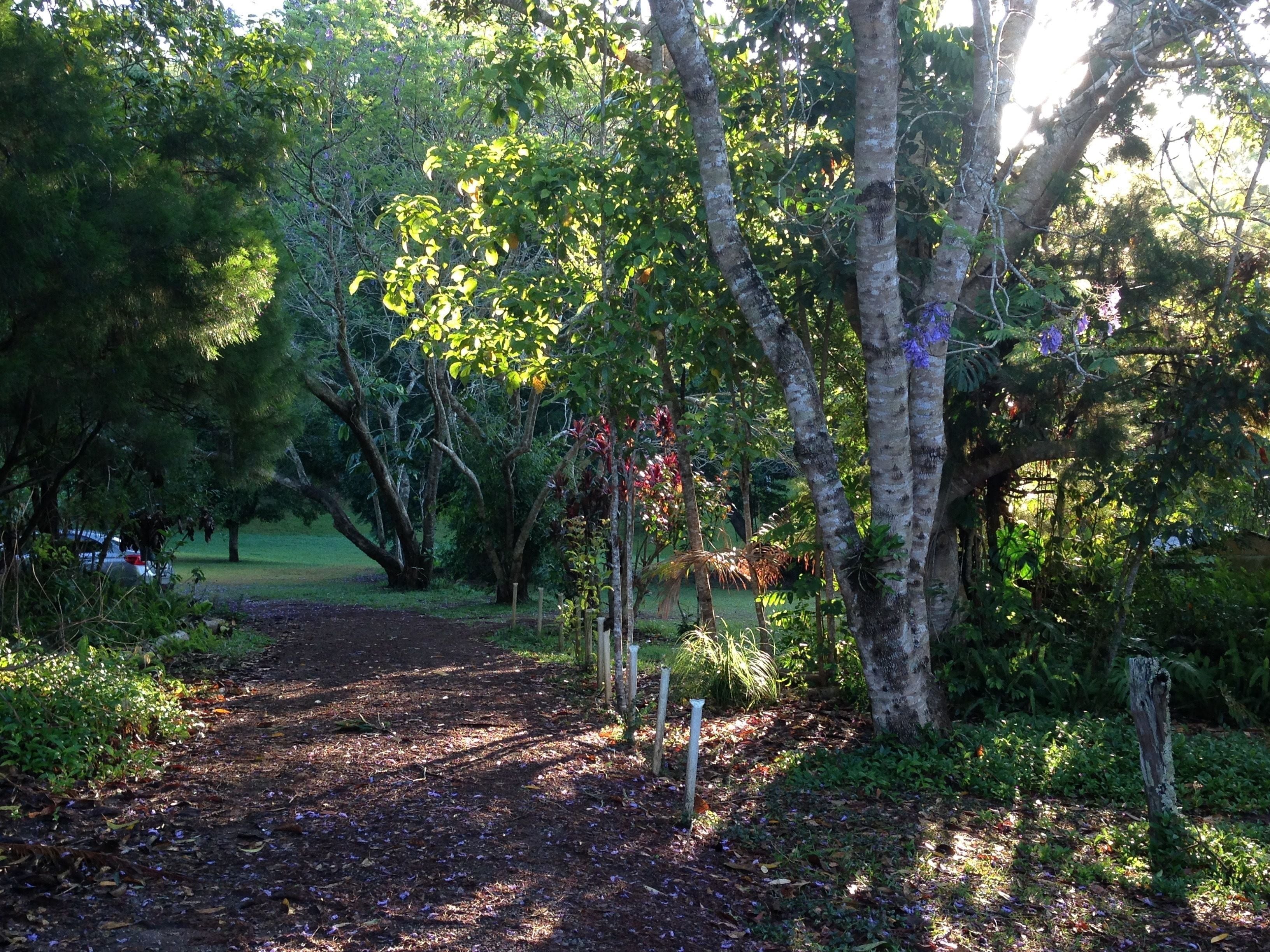 Lake Eacham Tourist Park & Self Contained Cabins