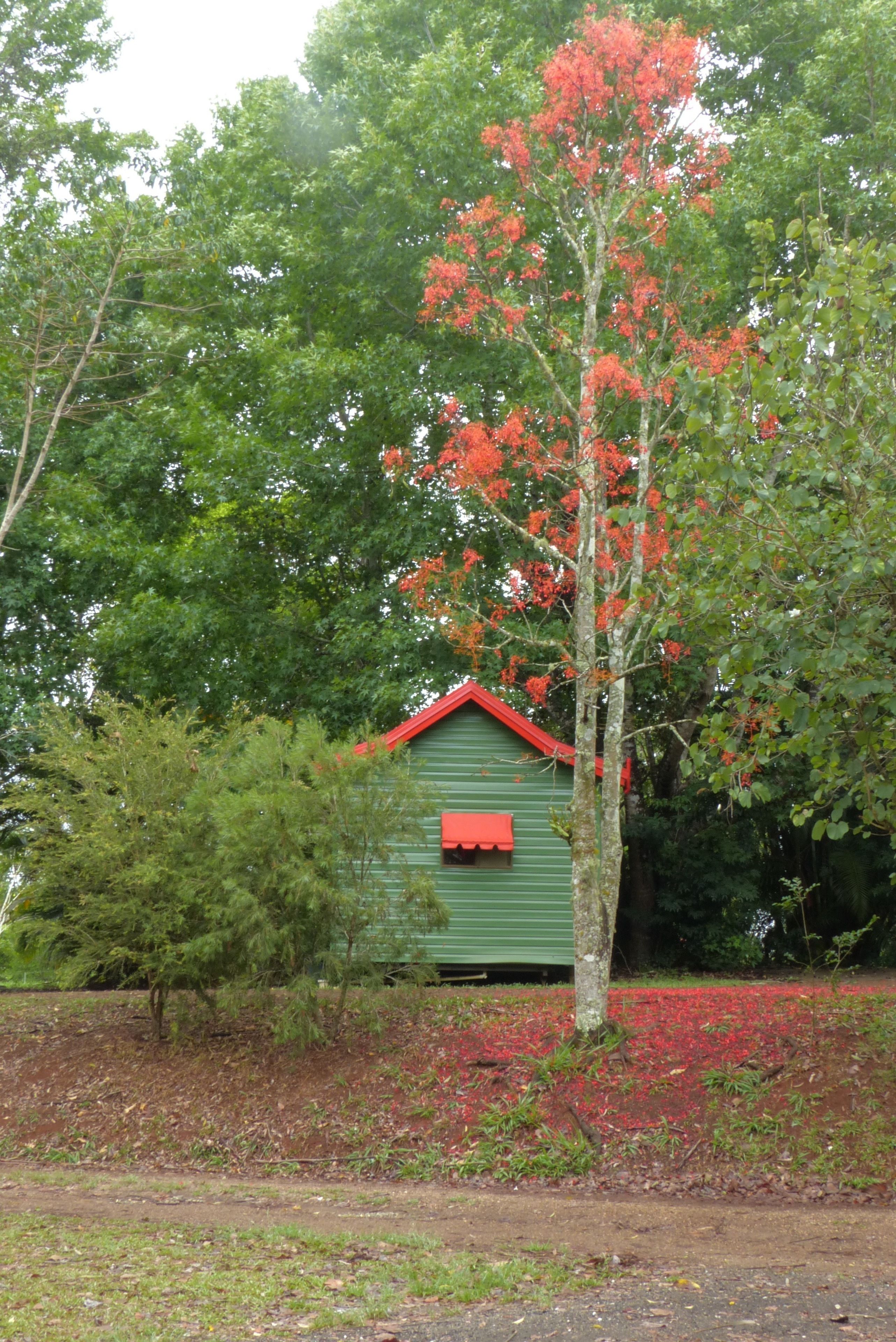 Lake Eacham Tourist Park & Self Contained Cabins