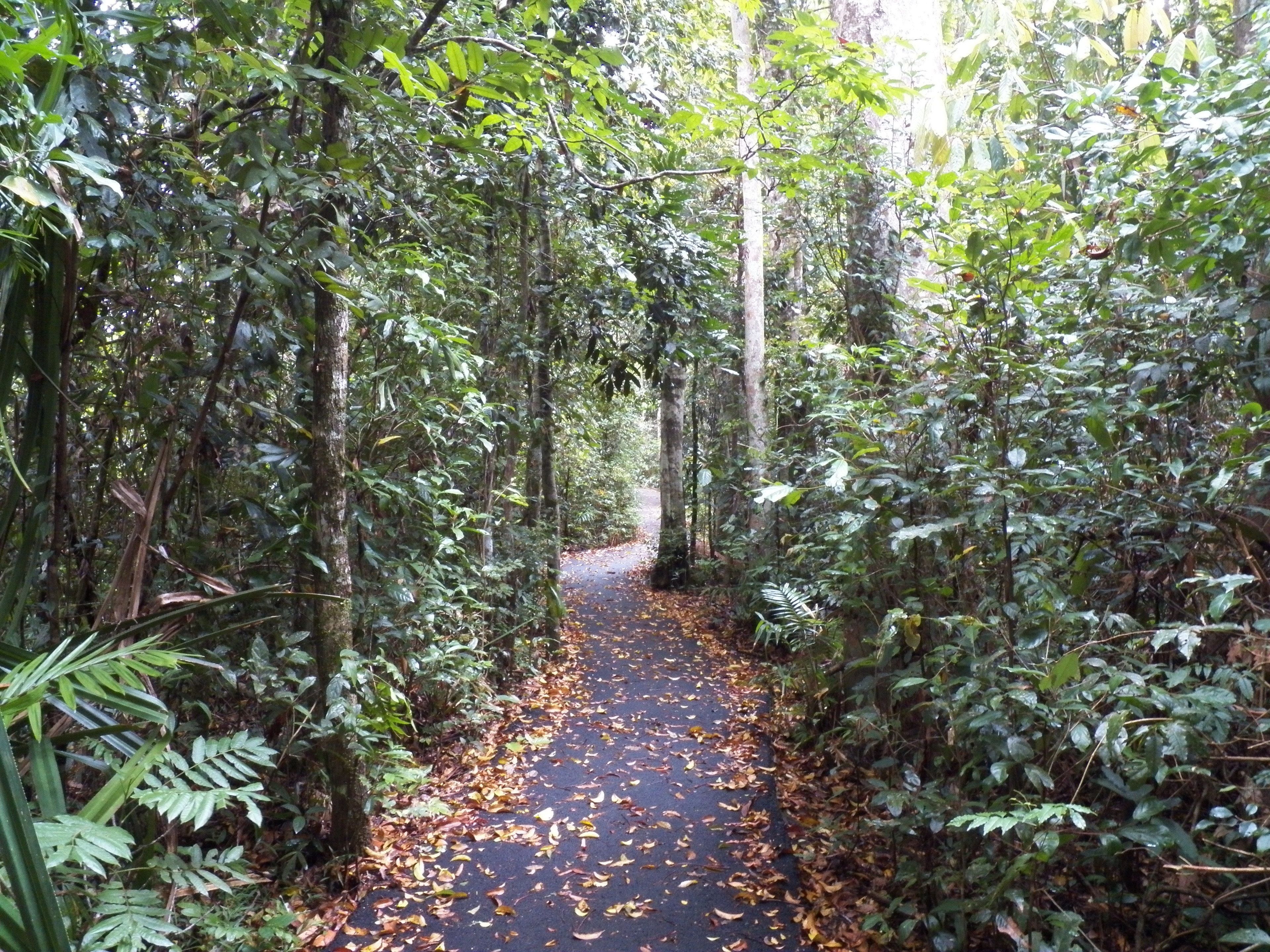 Lake Eacham Tourist Park & Self Contained Cabins