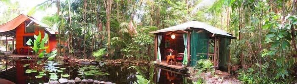 Rainforest Hideaway