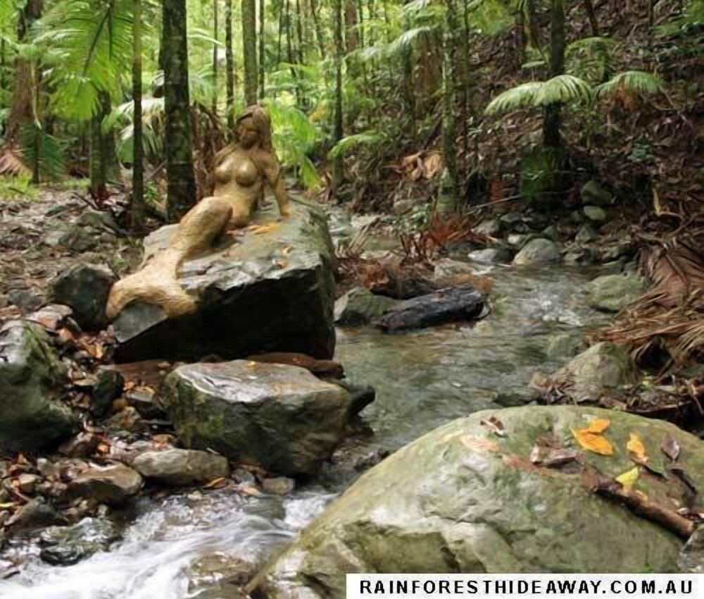 Rainforest Hideaway