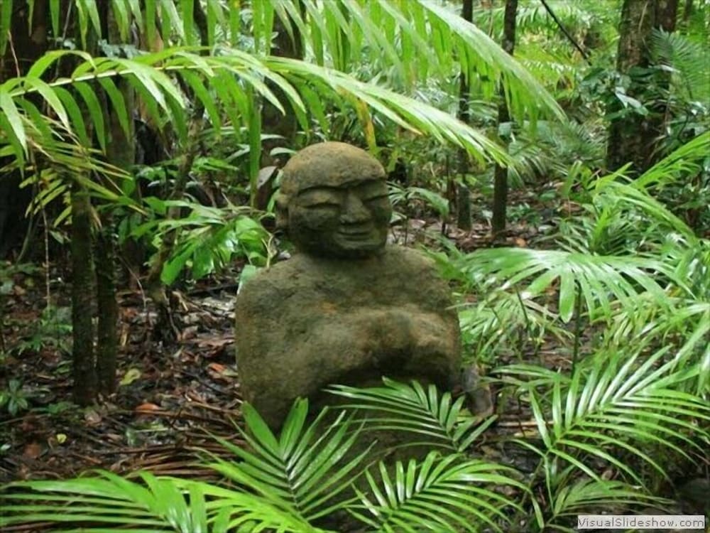 Rainforest Hideaway