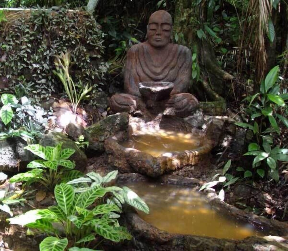 Rainforest Hideaway