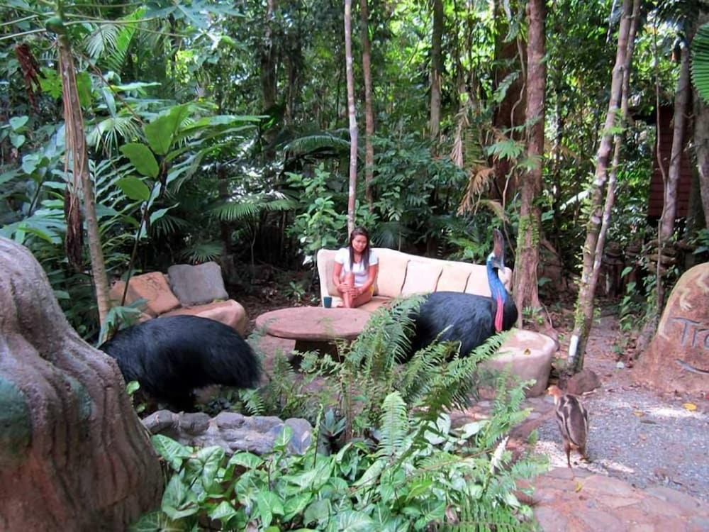 Rainforest Hideaway