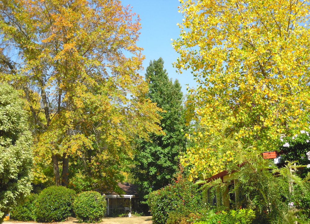 Bright Highland Valley Cottages