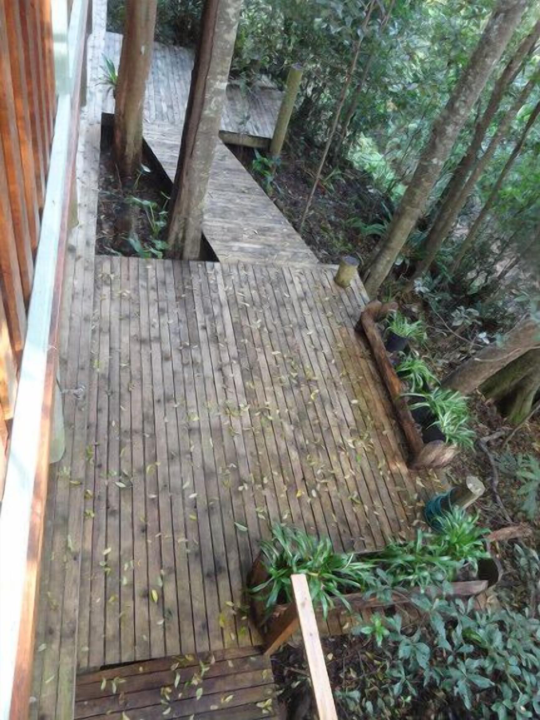 Treetops Accommodation Montville